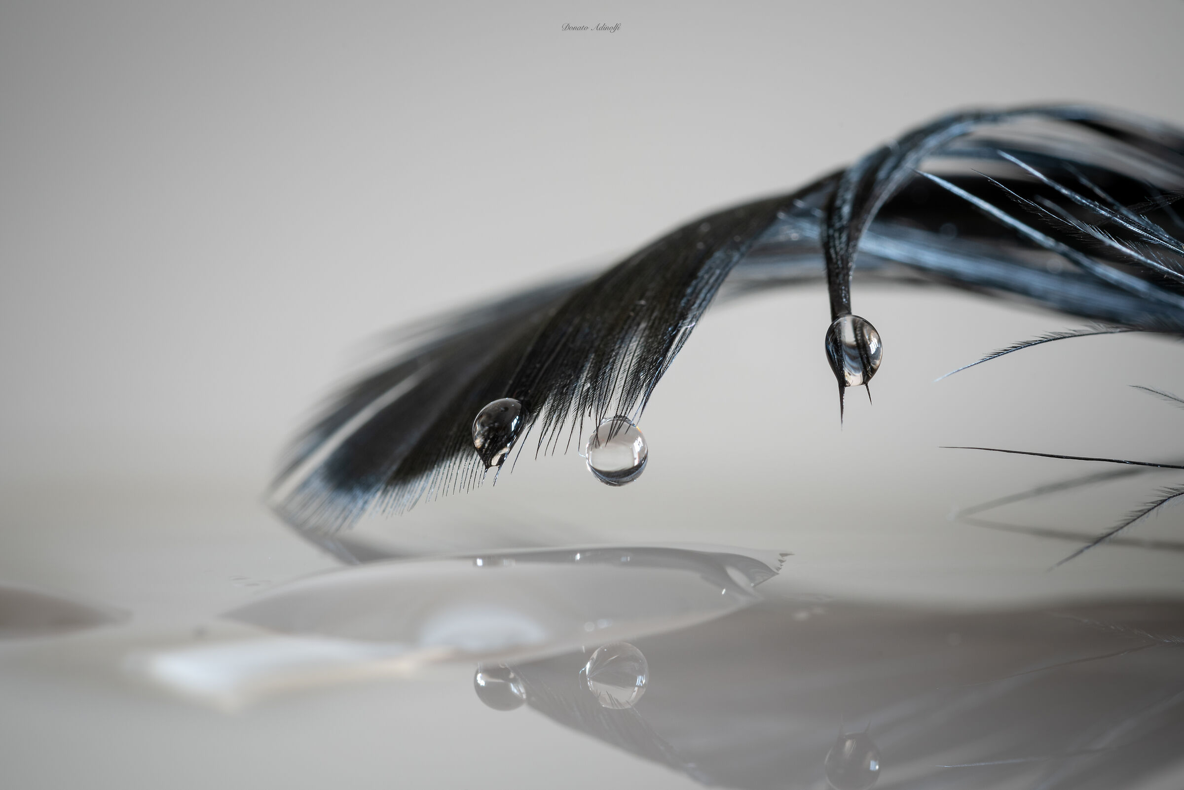 Drops
