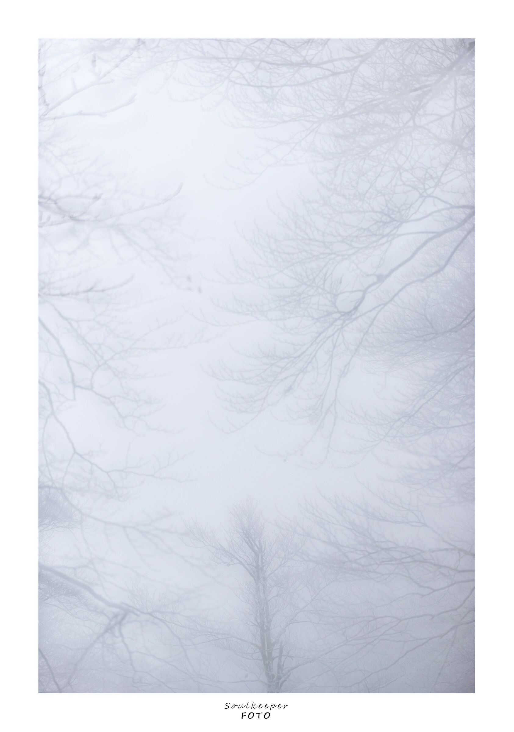 Delicate perceptions.