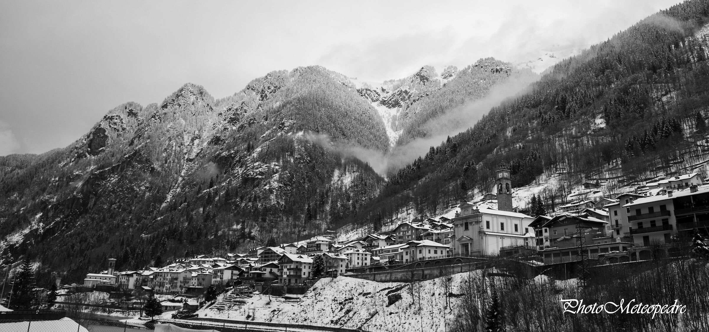 Winter black & white