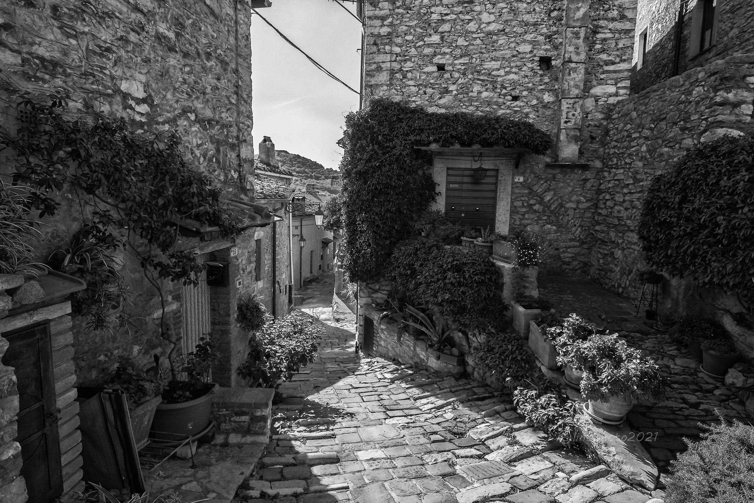 Girovagando tra i vicoli di Sassetta (li)