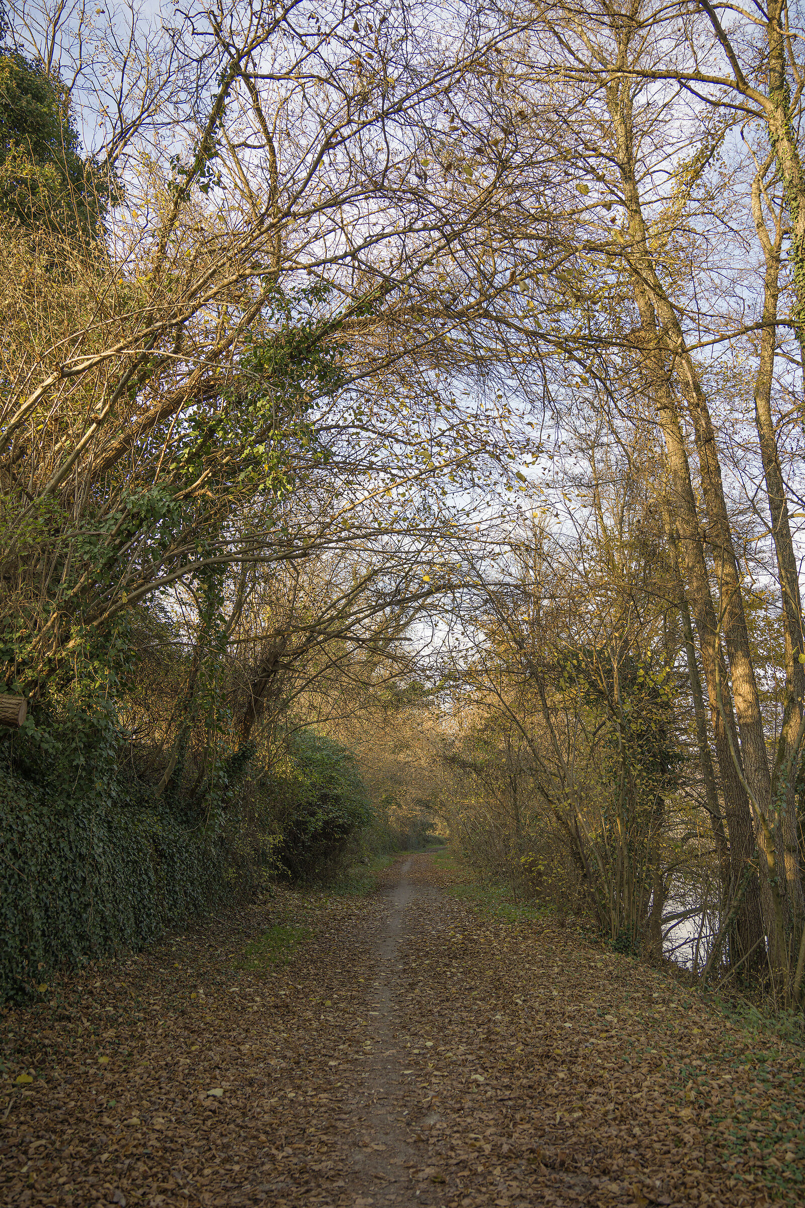Dove stiamo andando ?