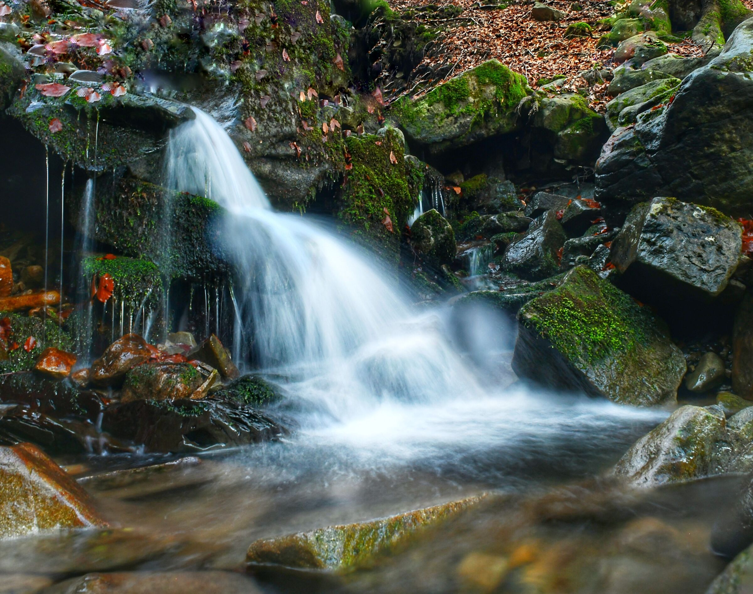 Cascata nel sottobosco