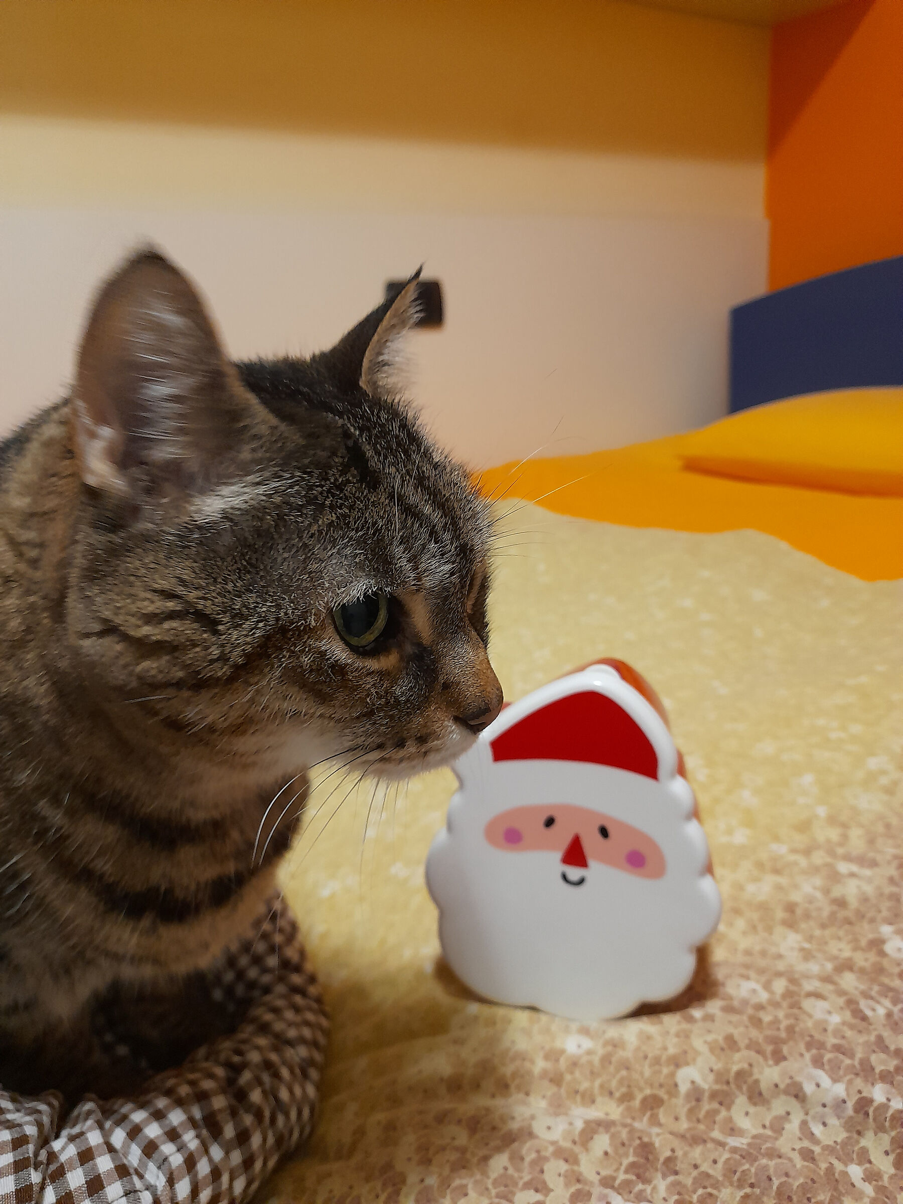 buone feste a tutti!!!!