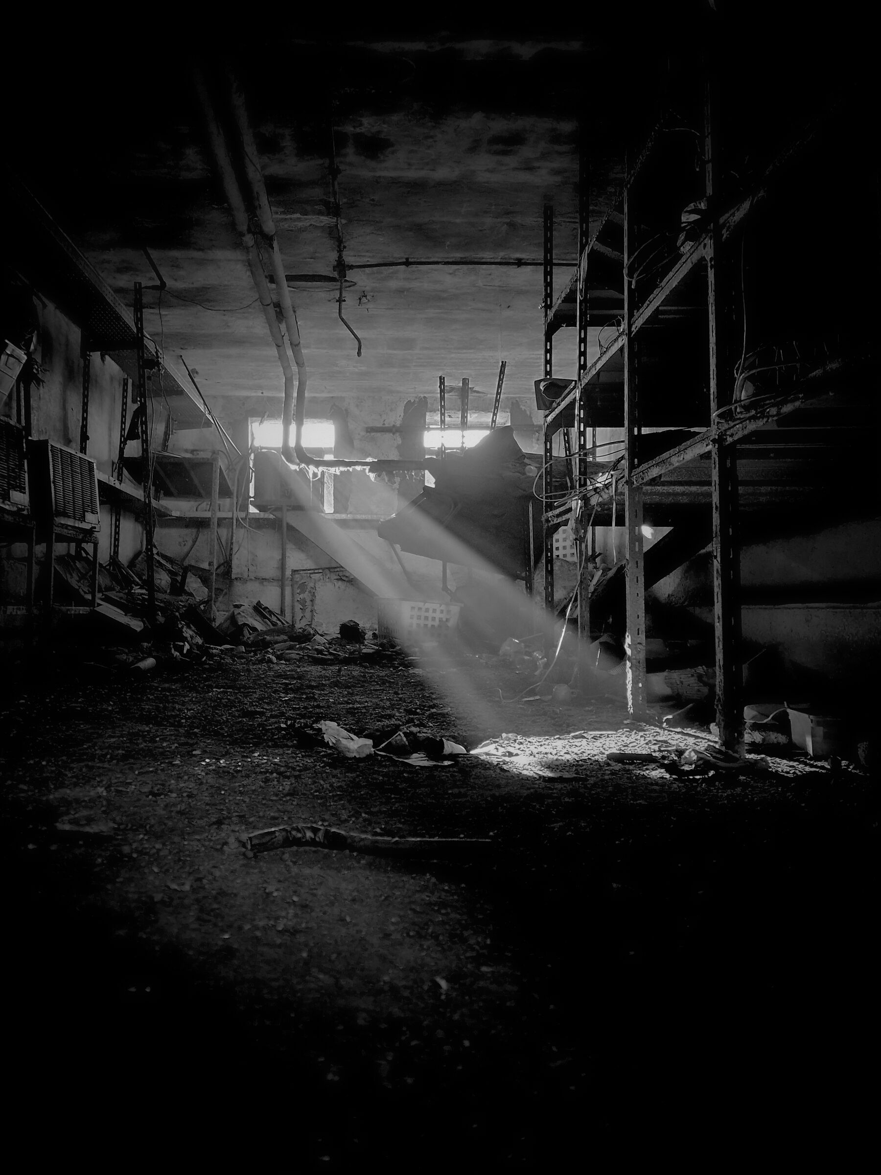 nightmare cellars BN