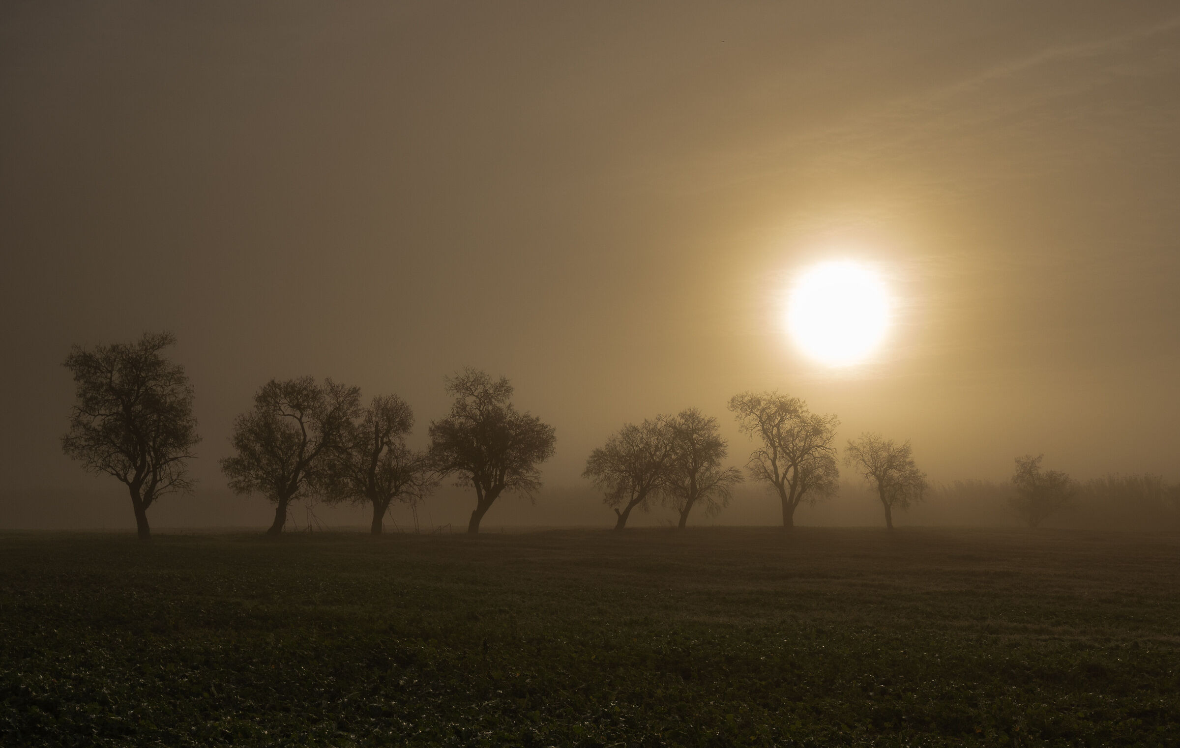 Untitled Photo