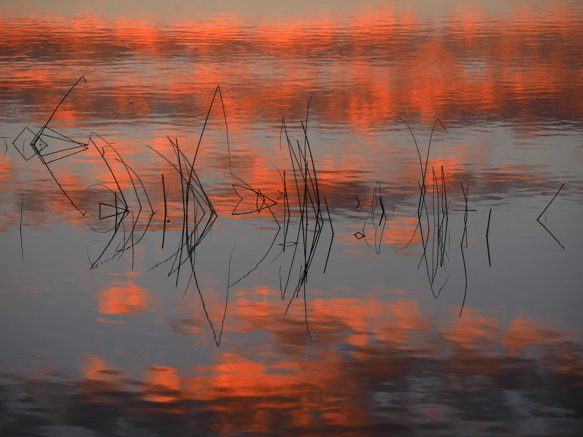 Colours of silence