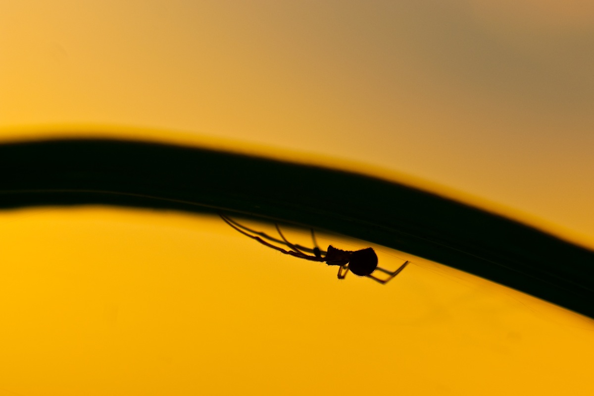 Sunrise is the moment BEST SERVICE ...