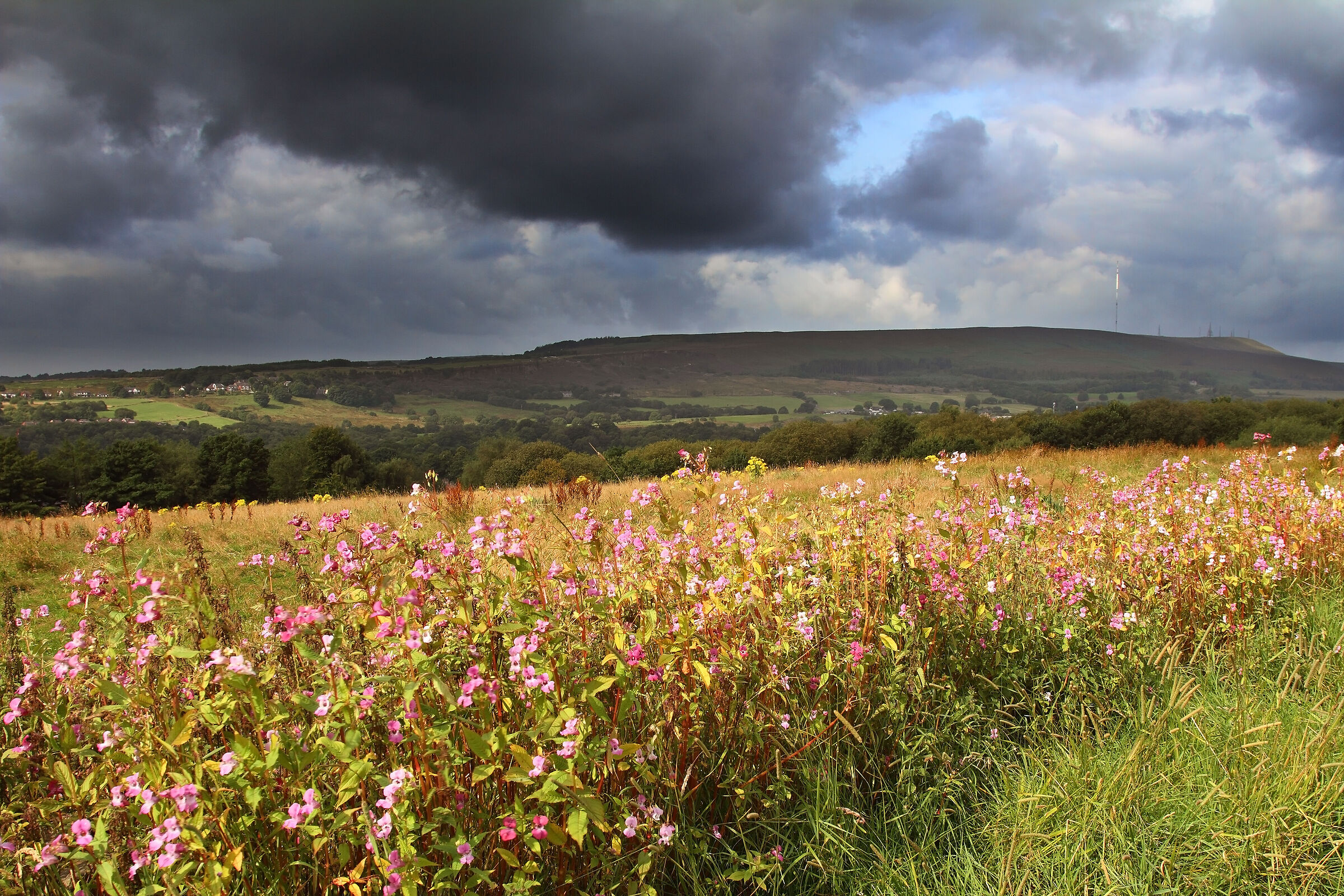 The Pennines