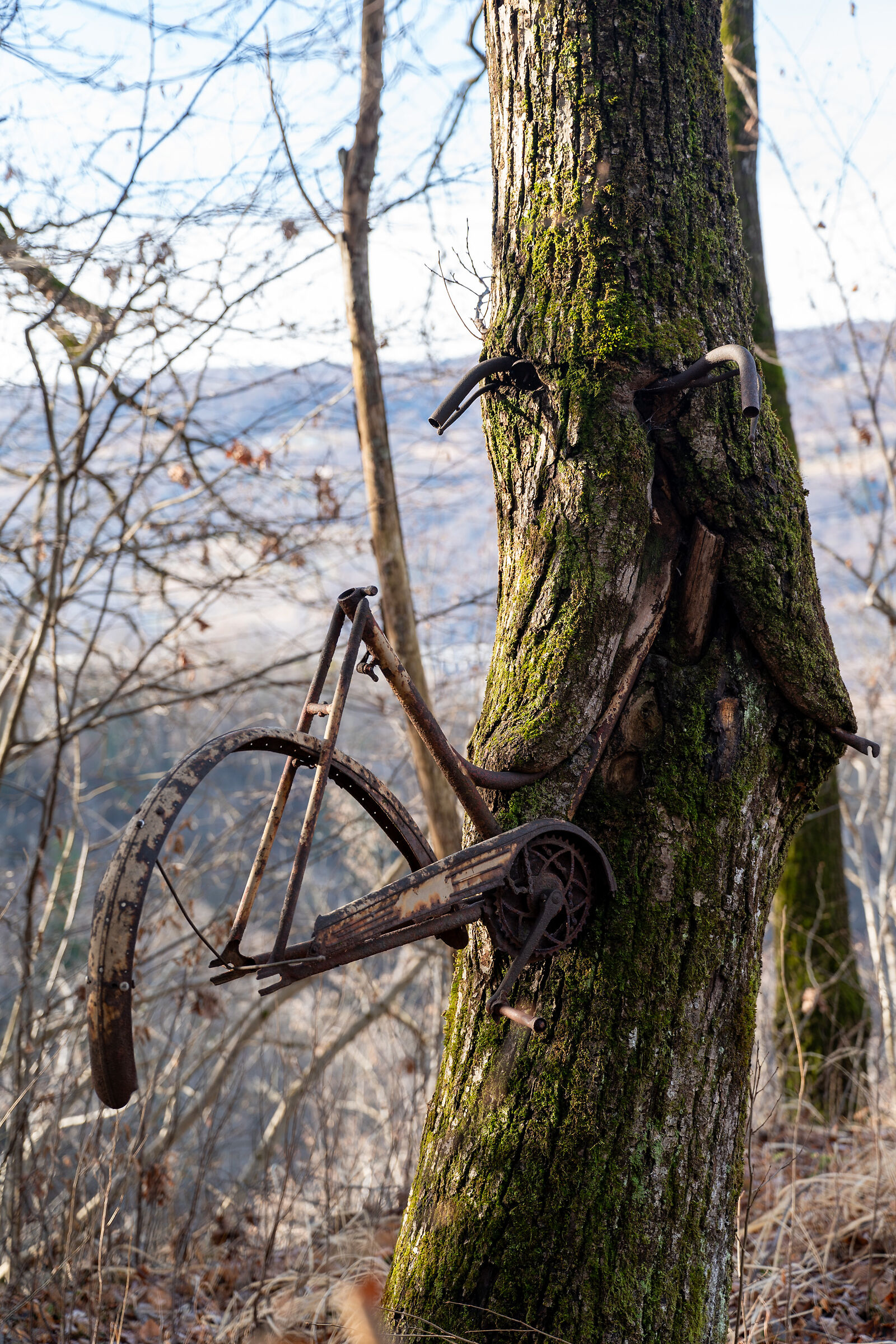 trapped bike