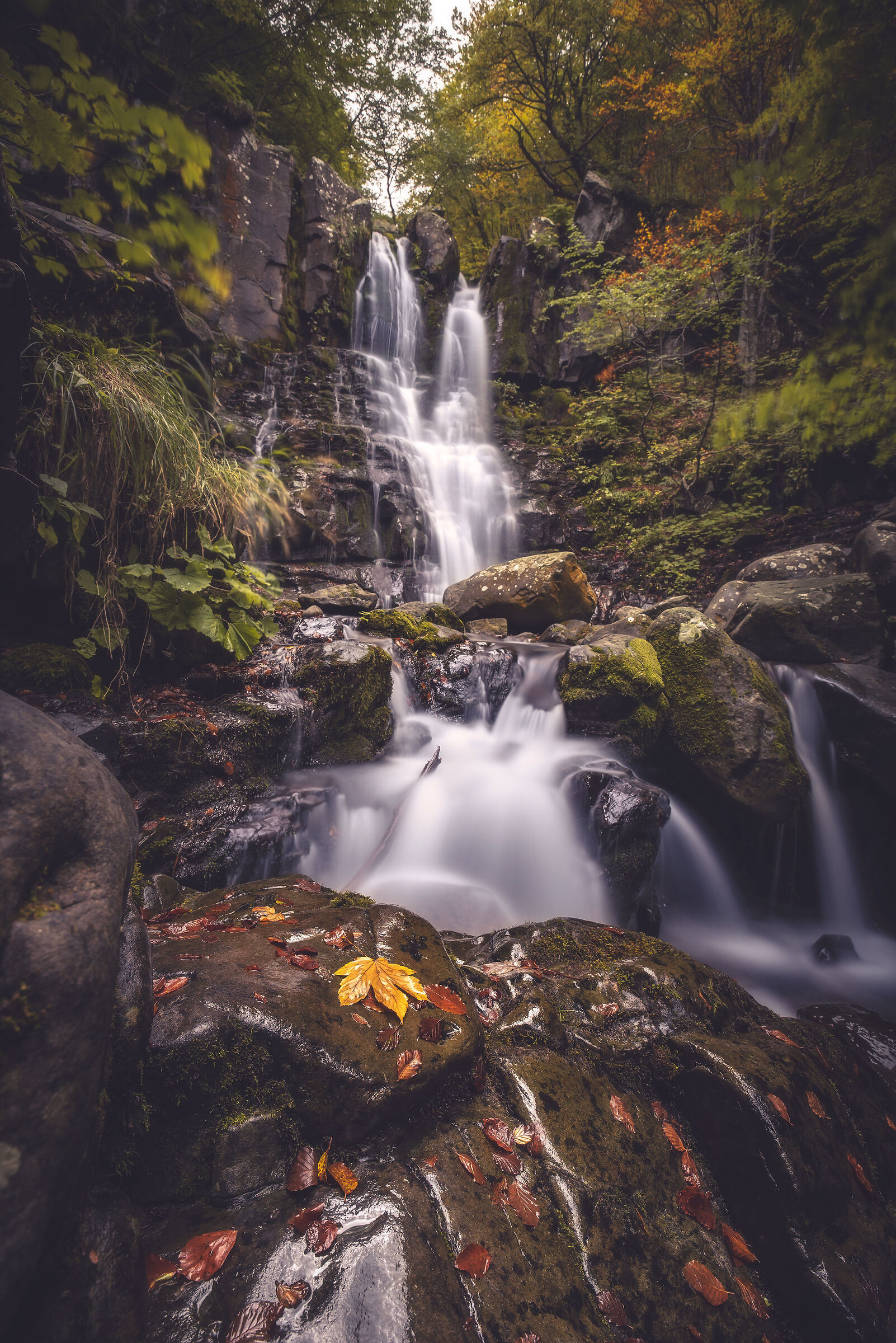 Autumn at the Dardagna waterfalls