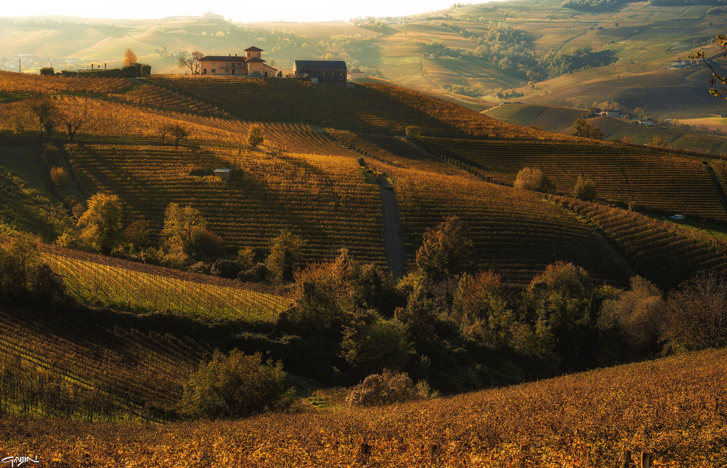 Autunno nelle Langhe