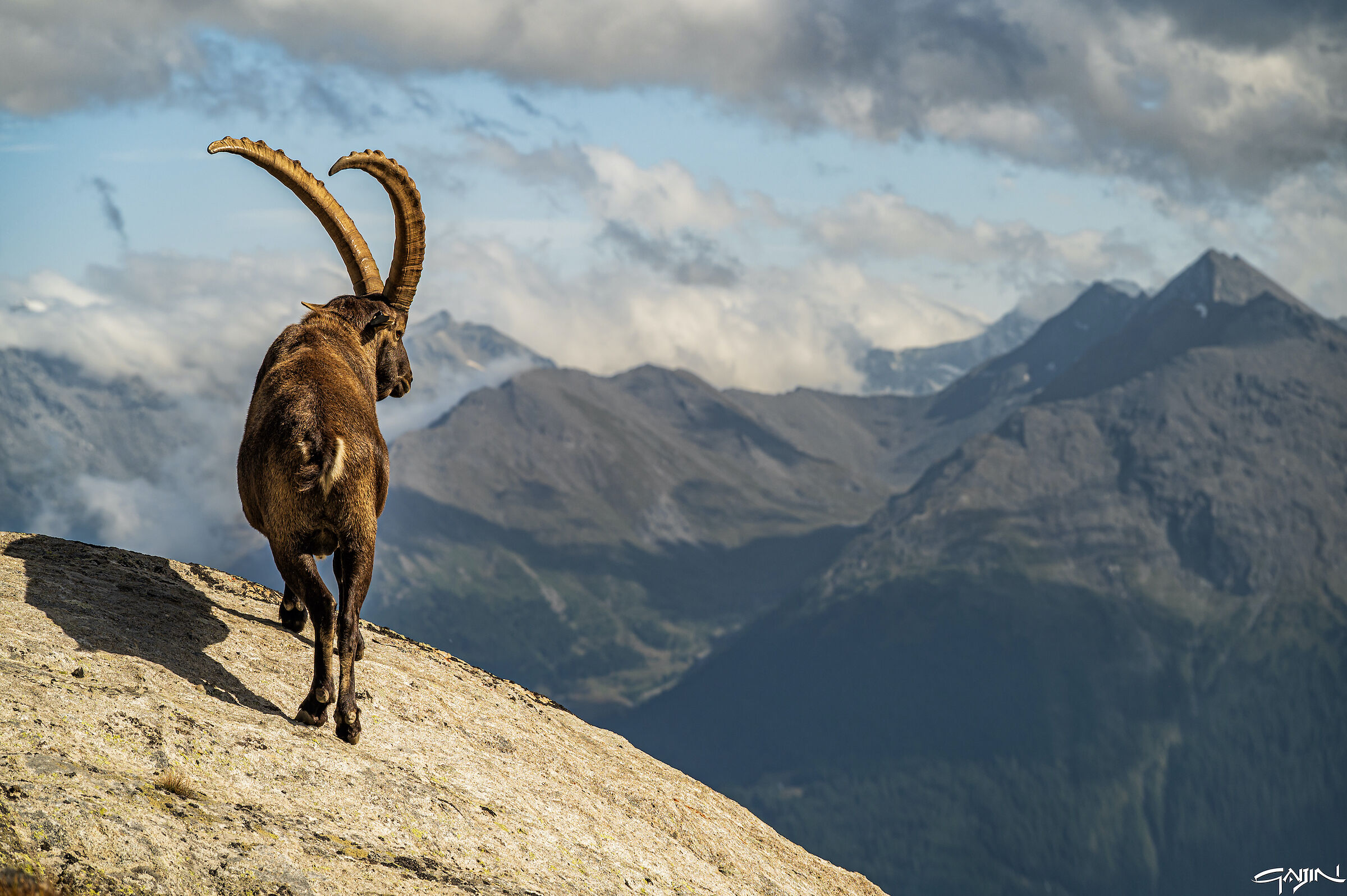 The King of the Valley