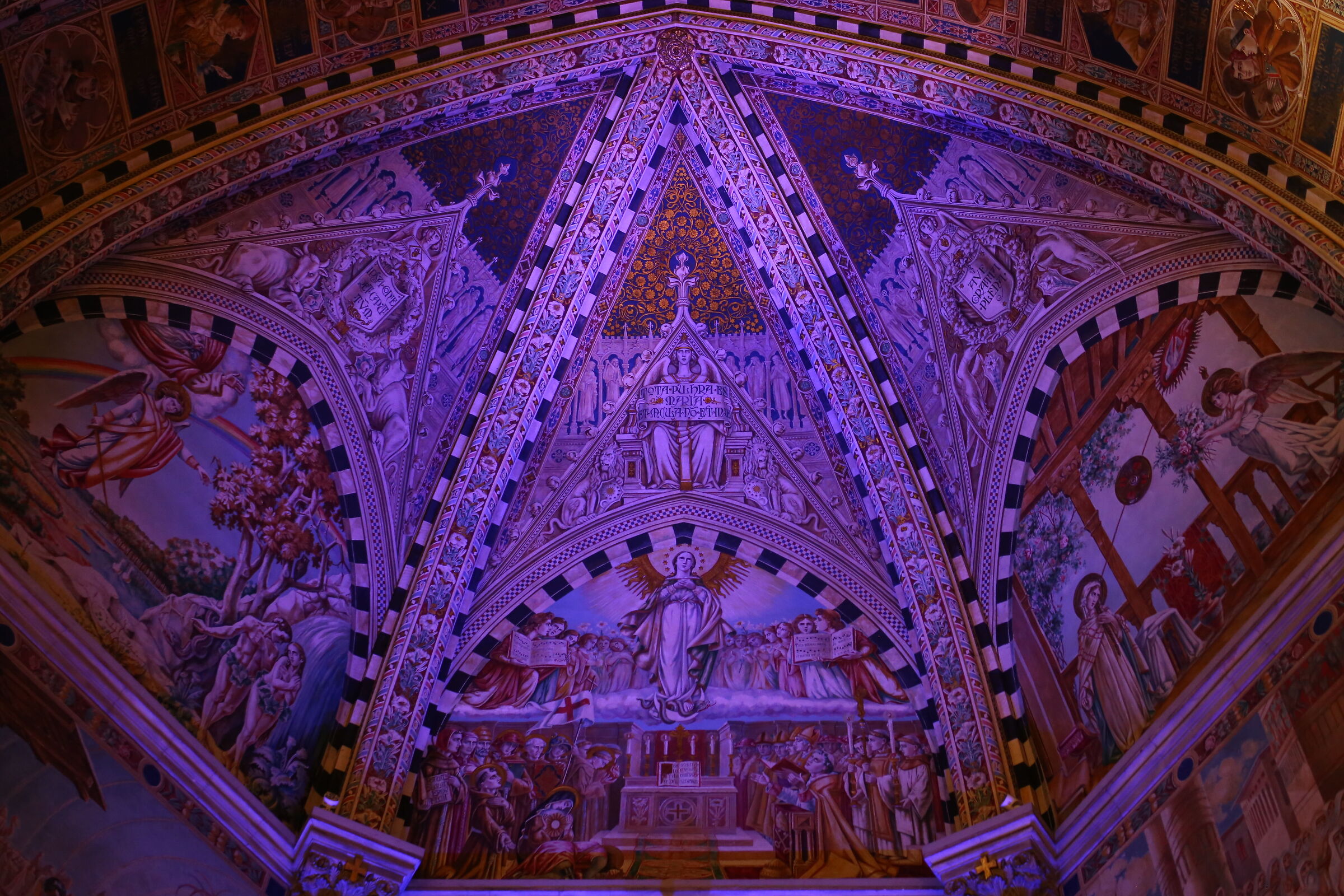 Milvus Zeiss 50, 1.4- Canon 6 D