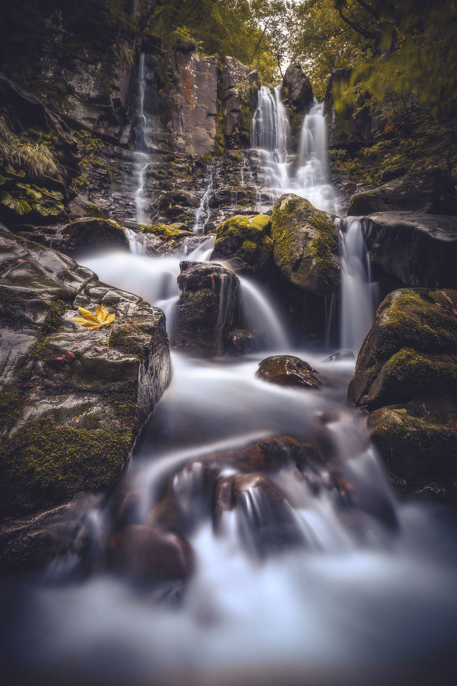 Autumn at the Dardagna waterfalls