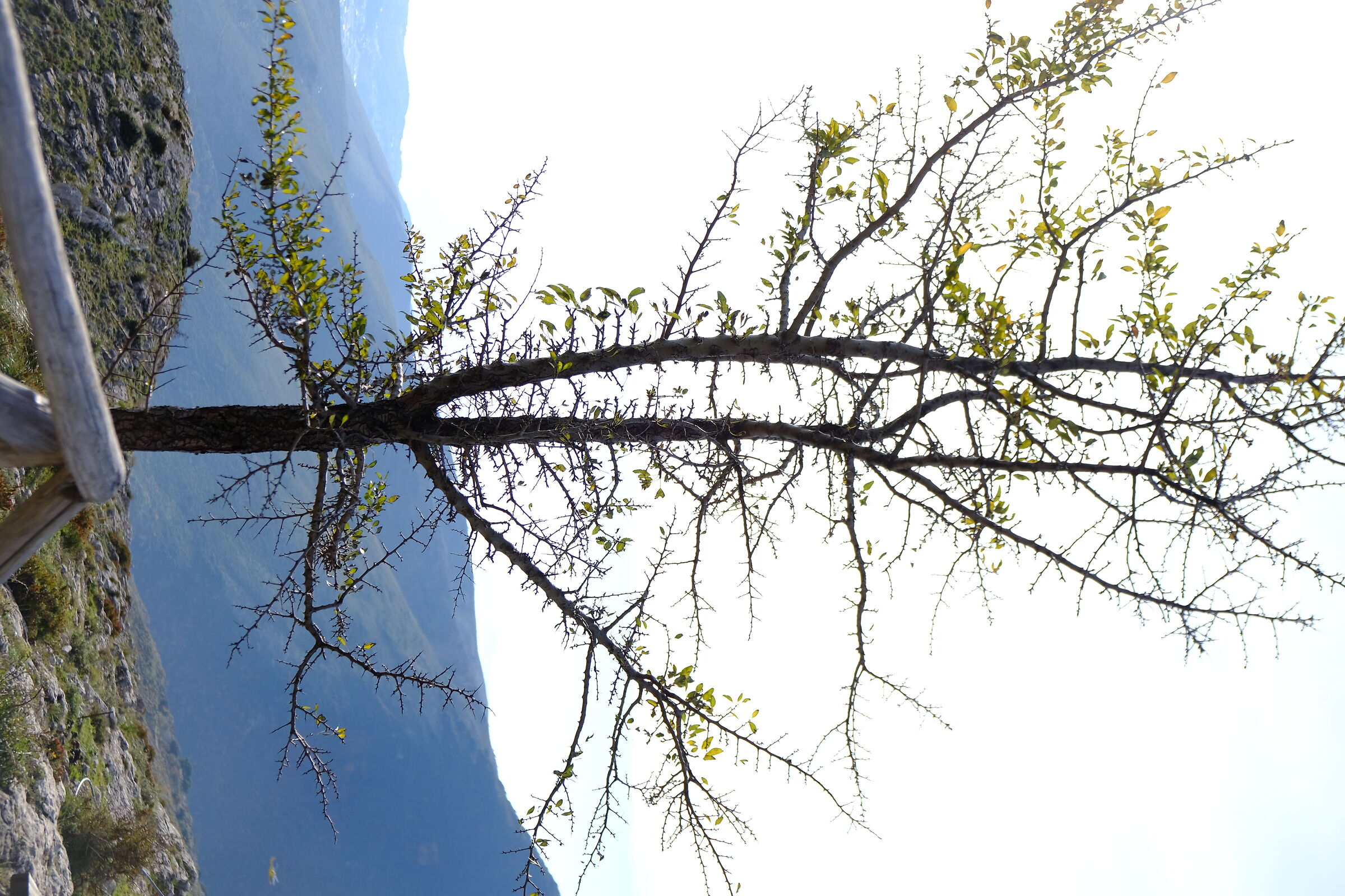 Non sembrerebbe inverno