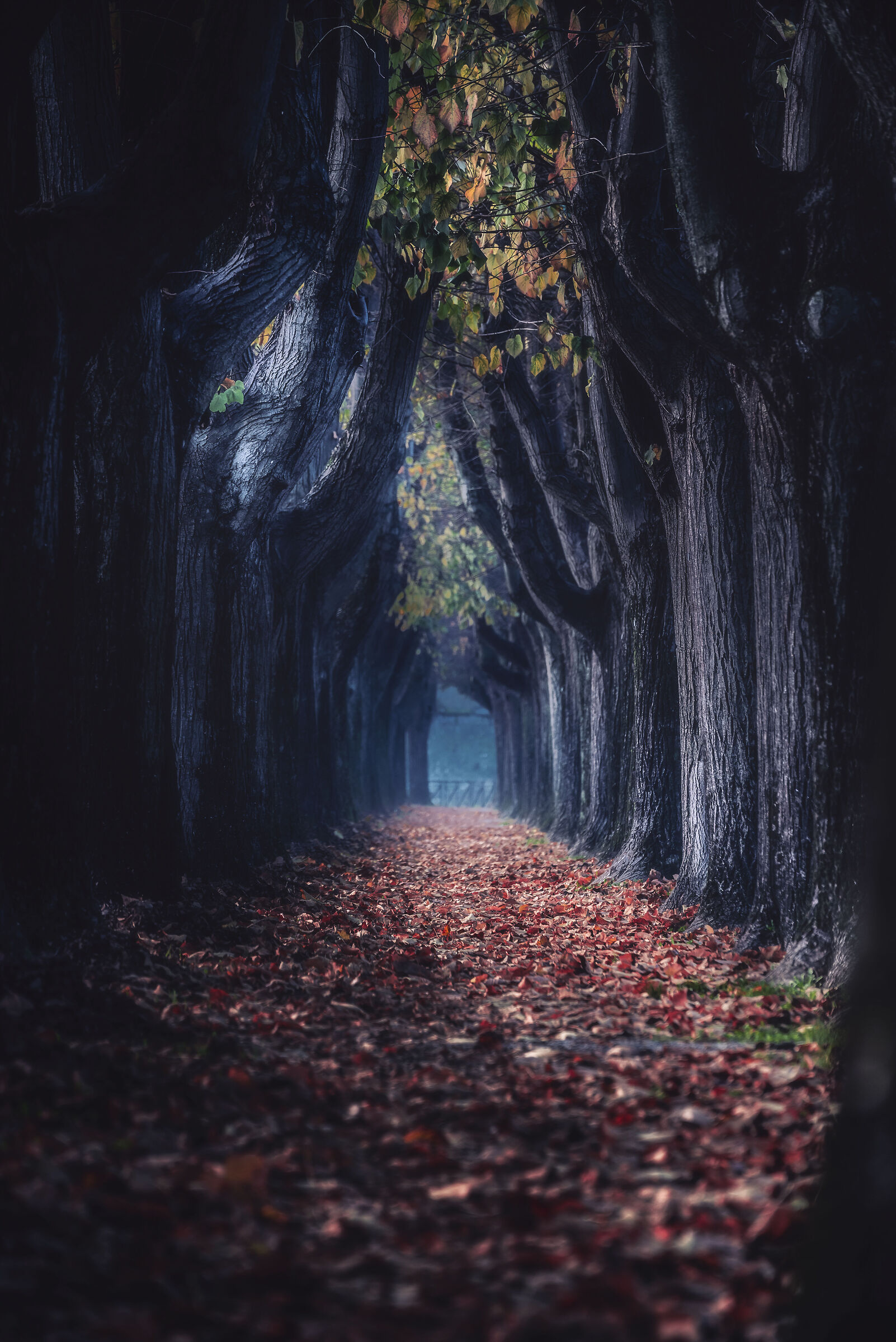 Like in a fairy tale