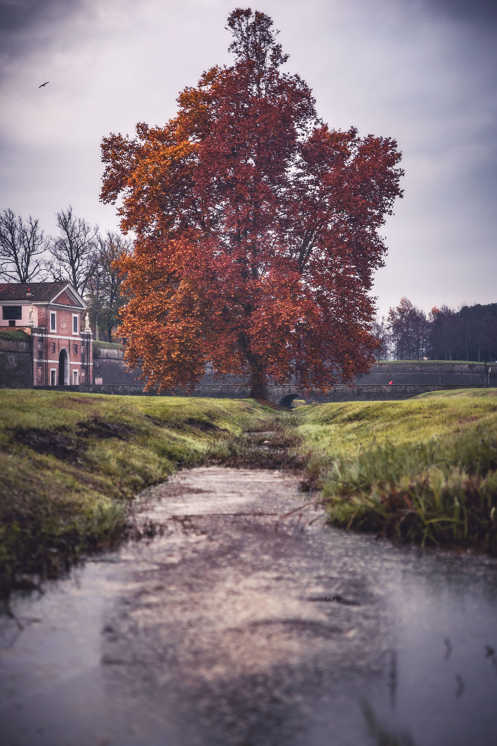 Autumn sunrise outside the walls of Lucca