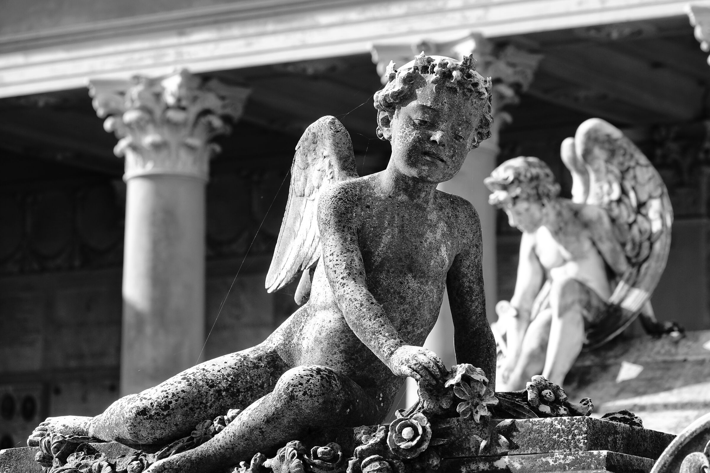 Stone Angels / 1