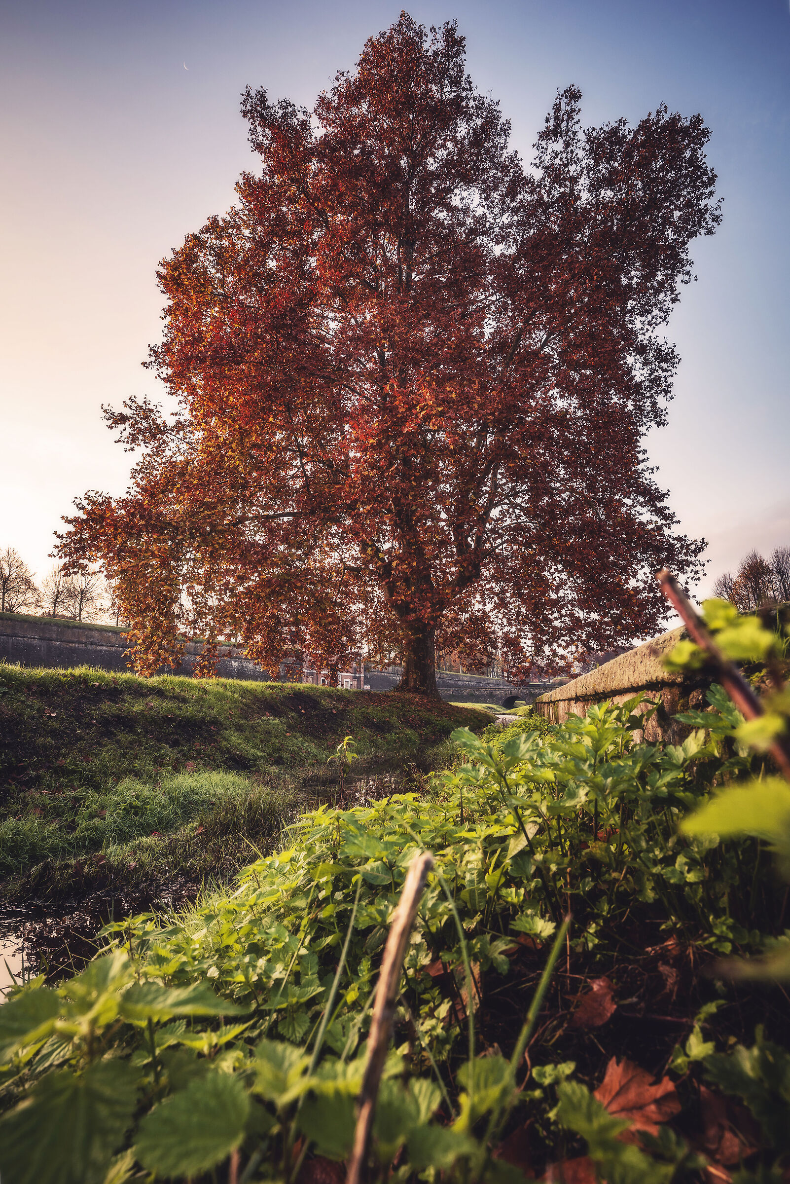 I magici colori dell'autunno a Lucca