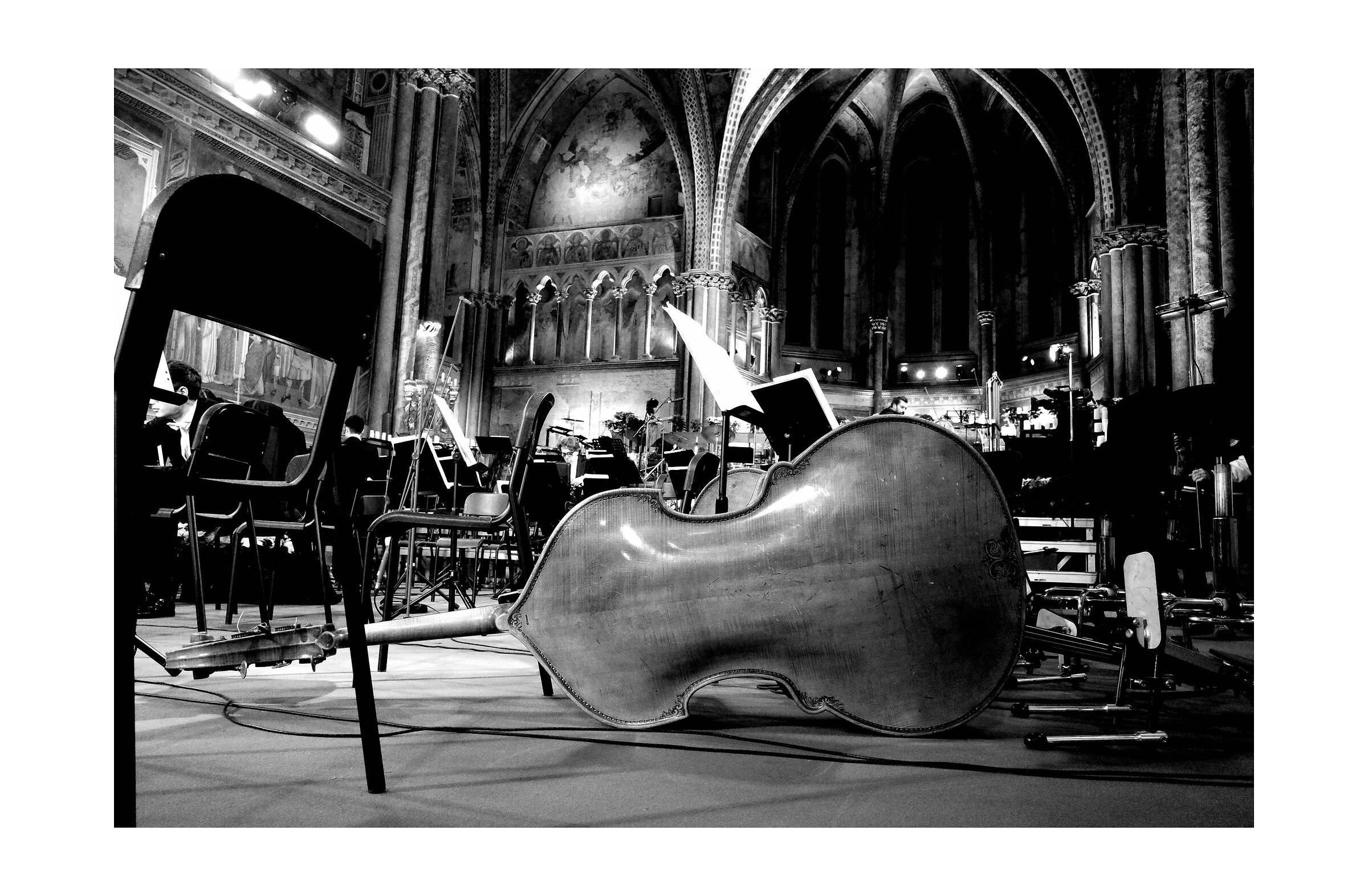 Christmas concert 2024 - Basilica San Francesco