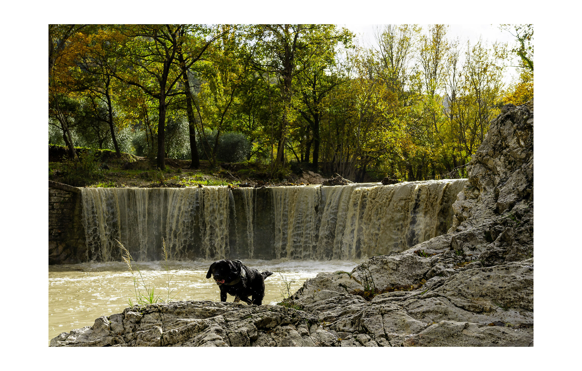 George and the waterfall