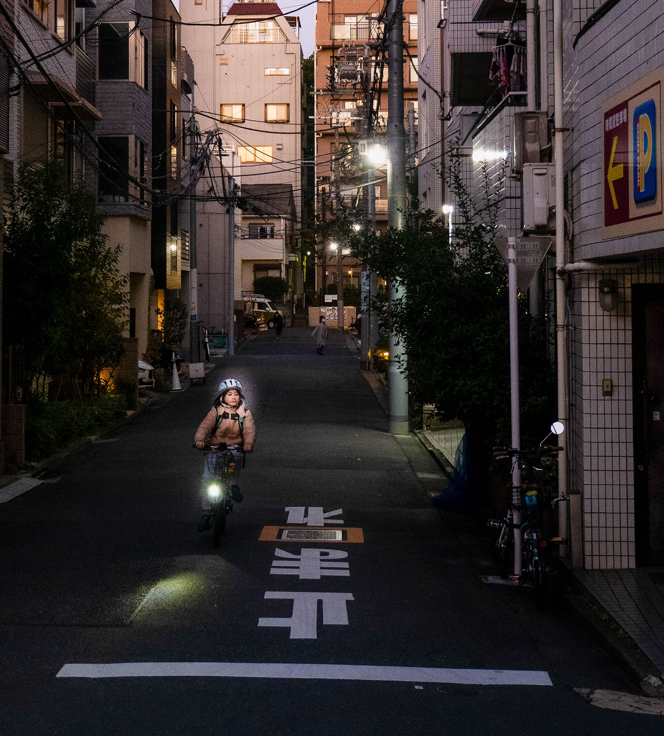 Evening in Tokyo