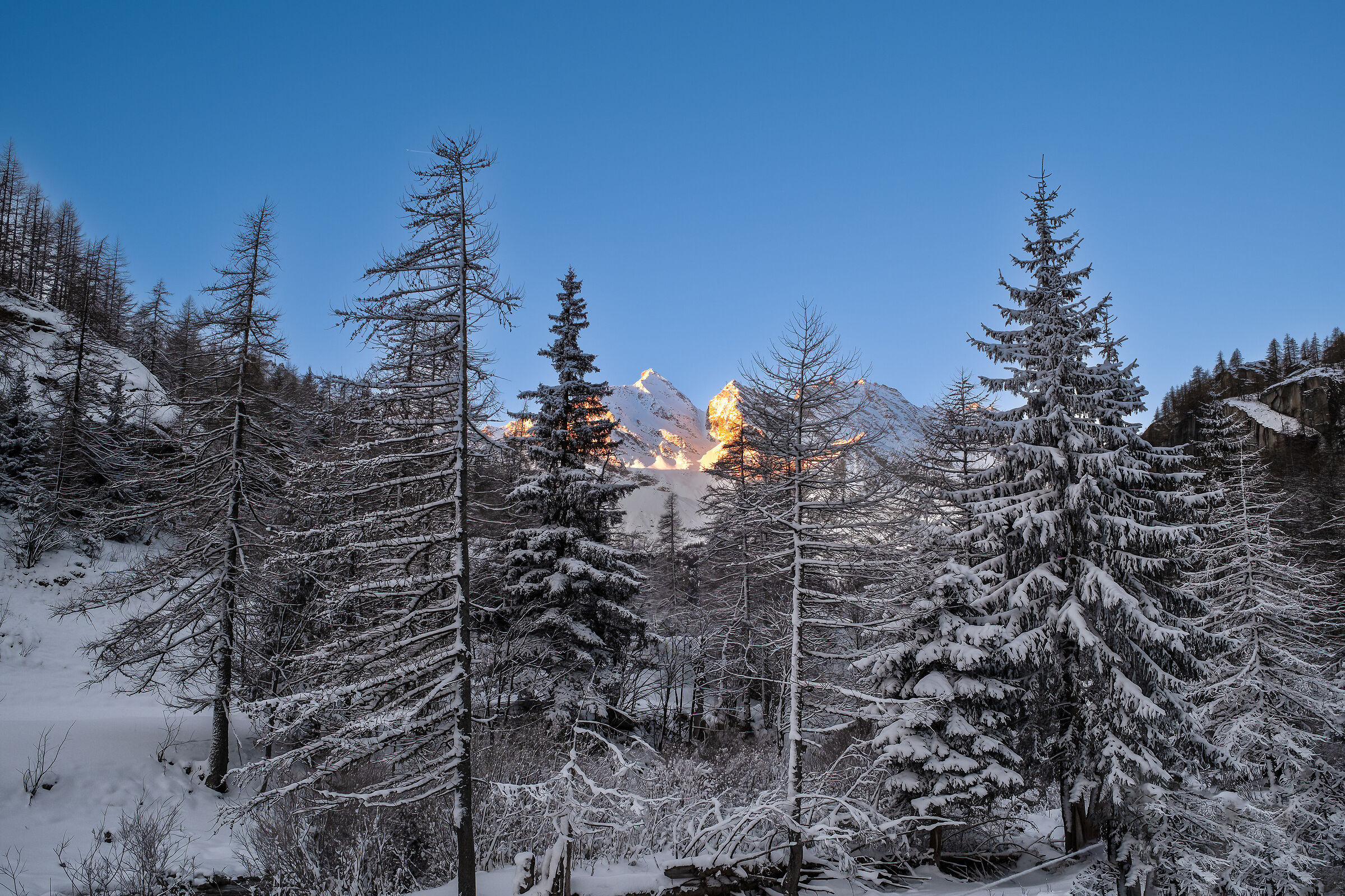 Gran Paradiso National Park - Piedmont