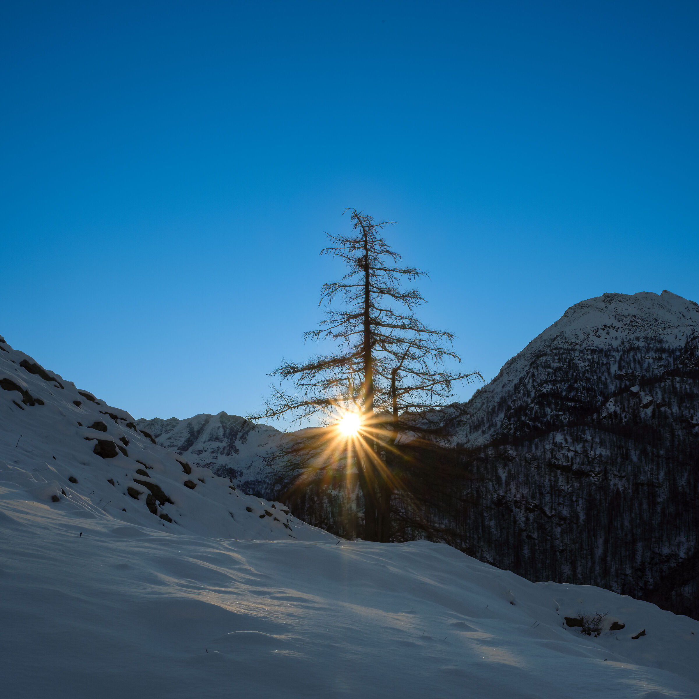 Gran Paradiso National Park - Piedmont