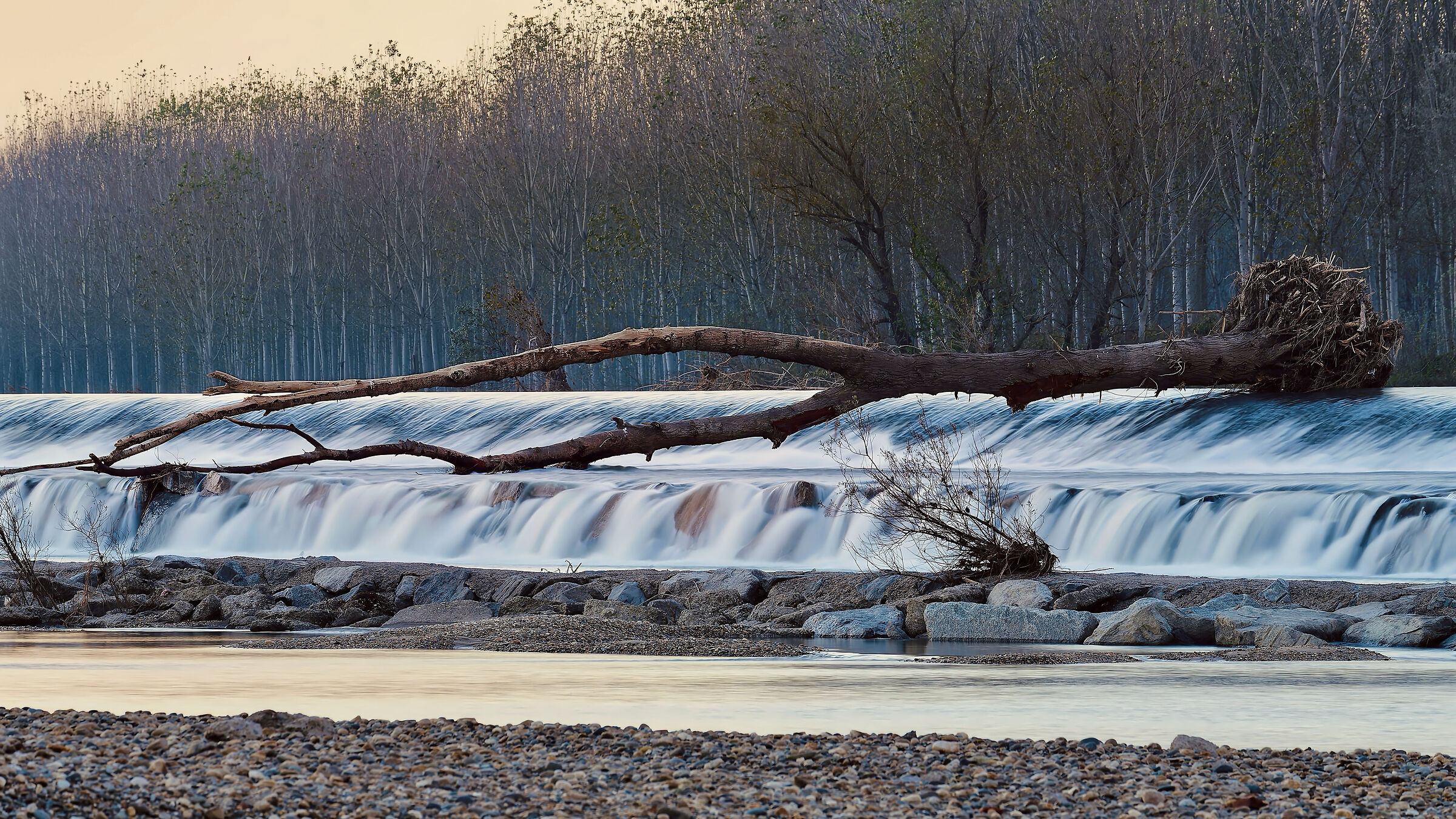 Along the Sesia
