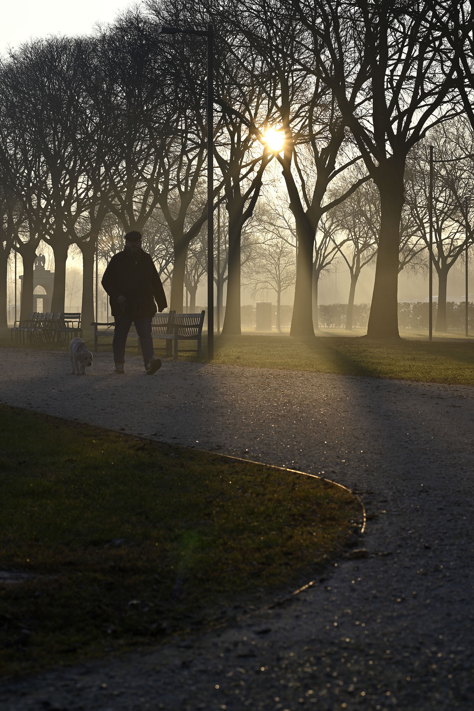 Walking in the park