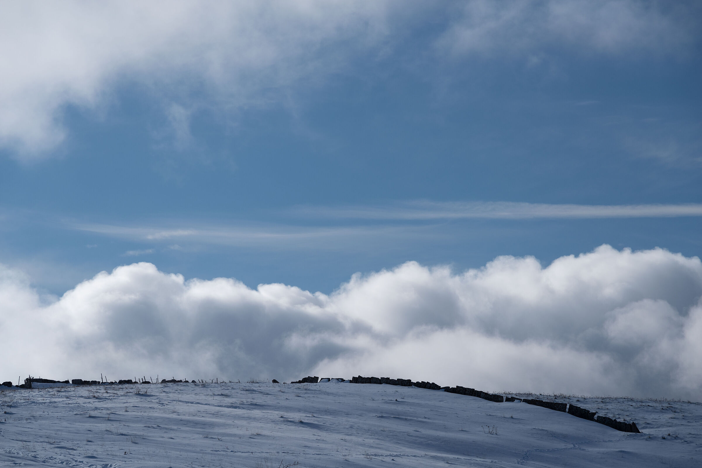 The Ride of the Valkyries
