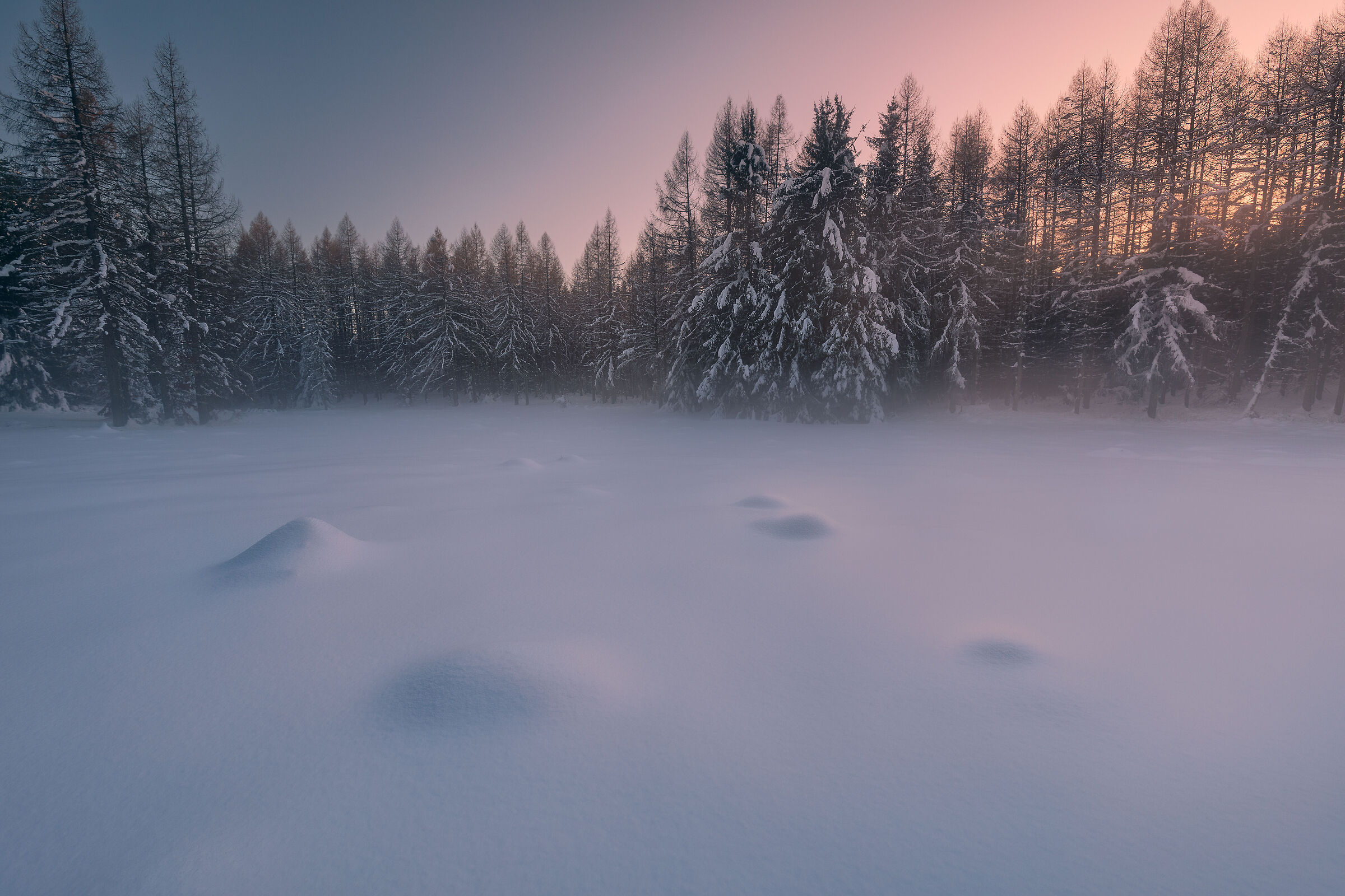 The silence of the snow