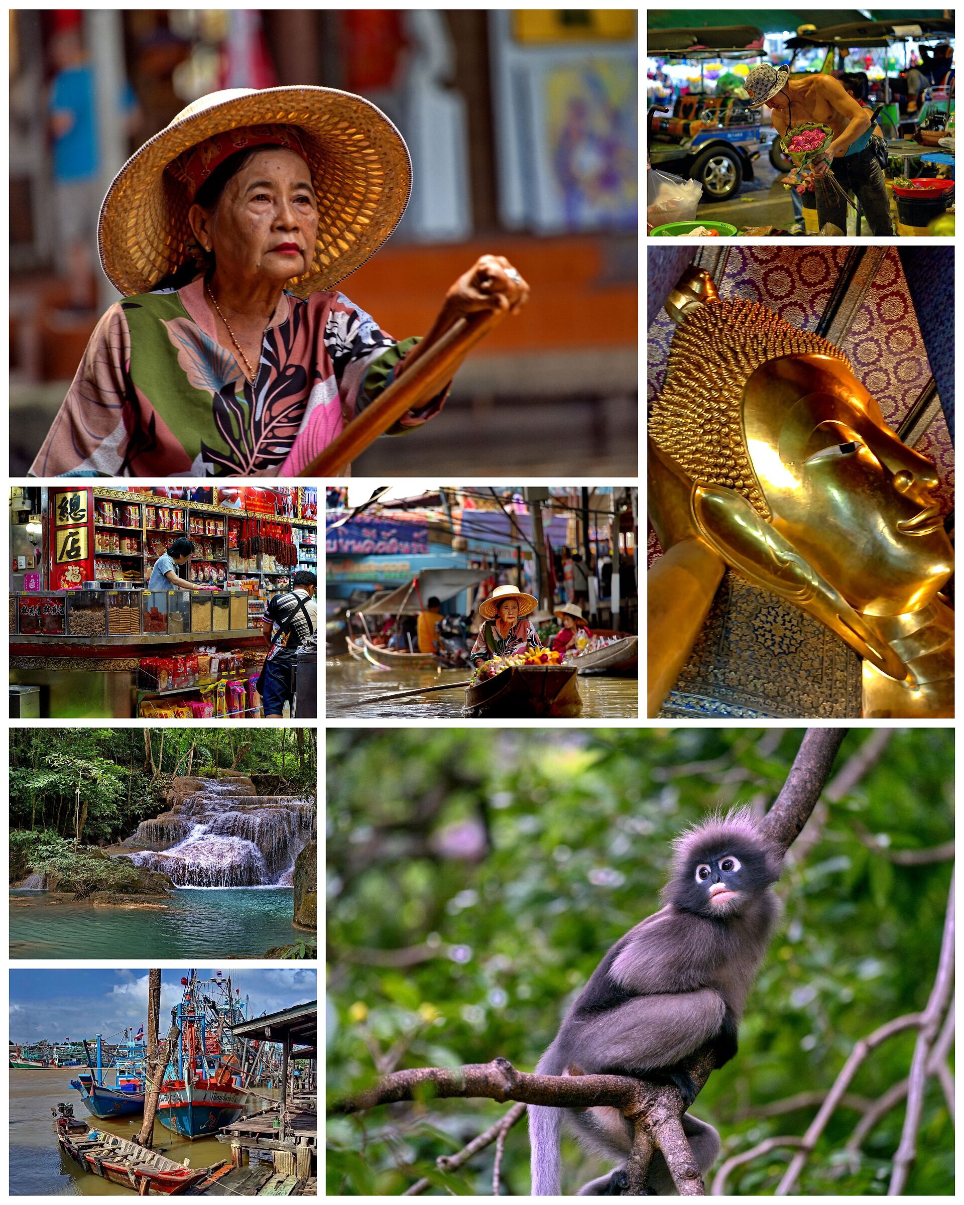 Collage Thailandia