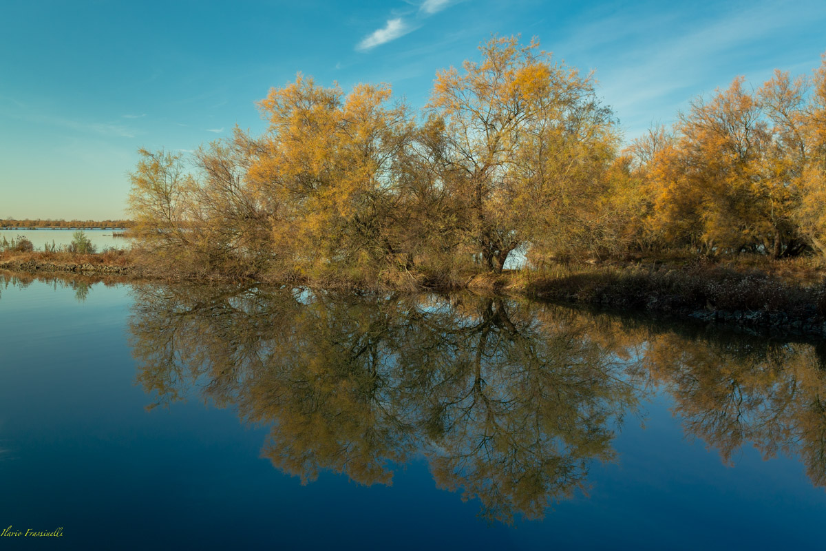 Riflessi