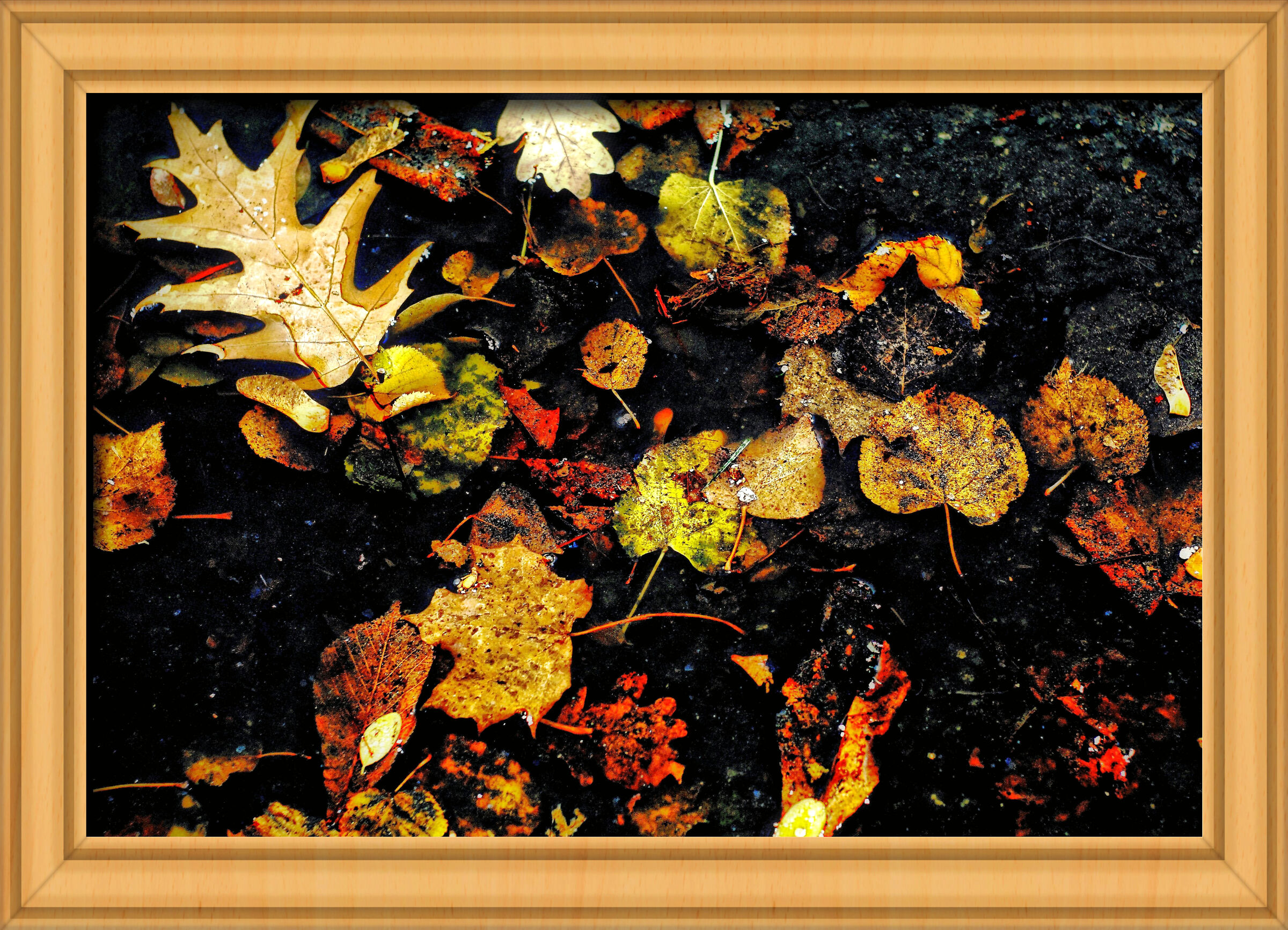 Autumn puddle