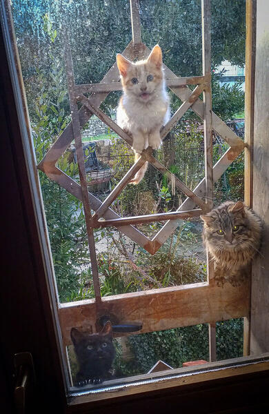 Foto