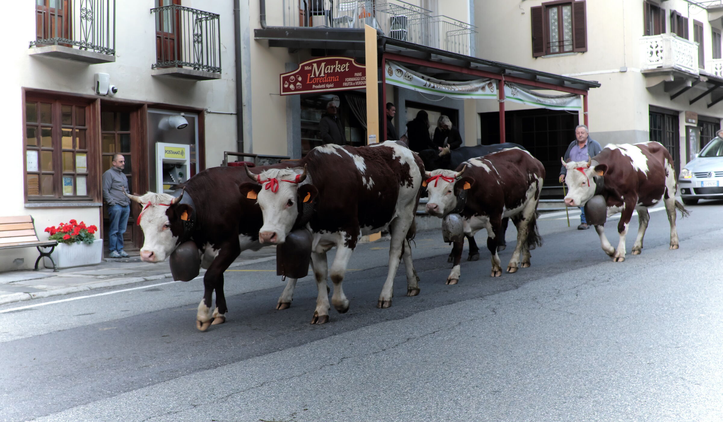 Transumanza , si torna a valle..