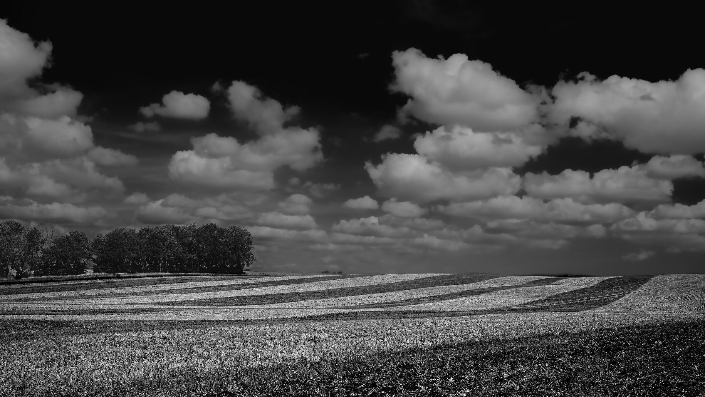 A field - Nowhere in Sweden