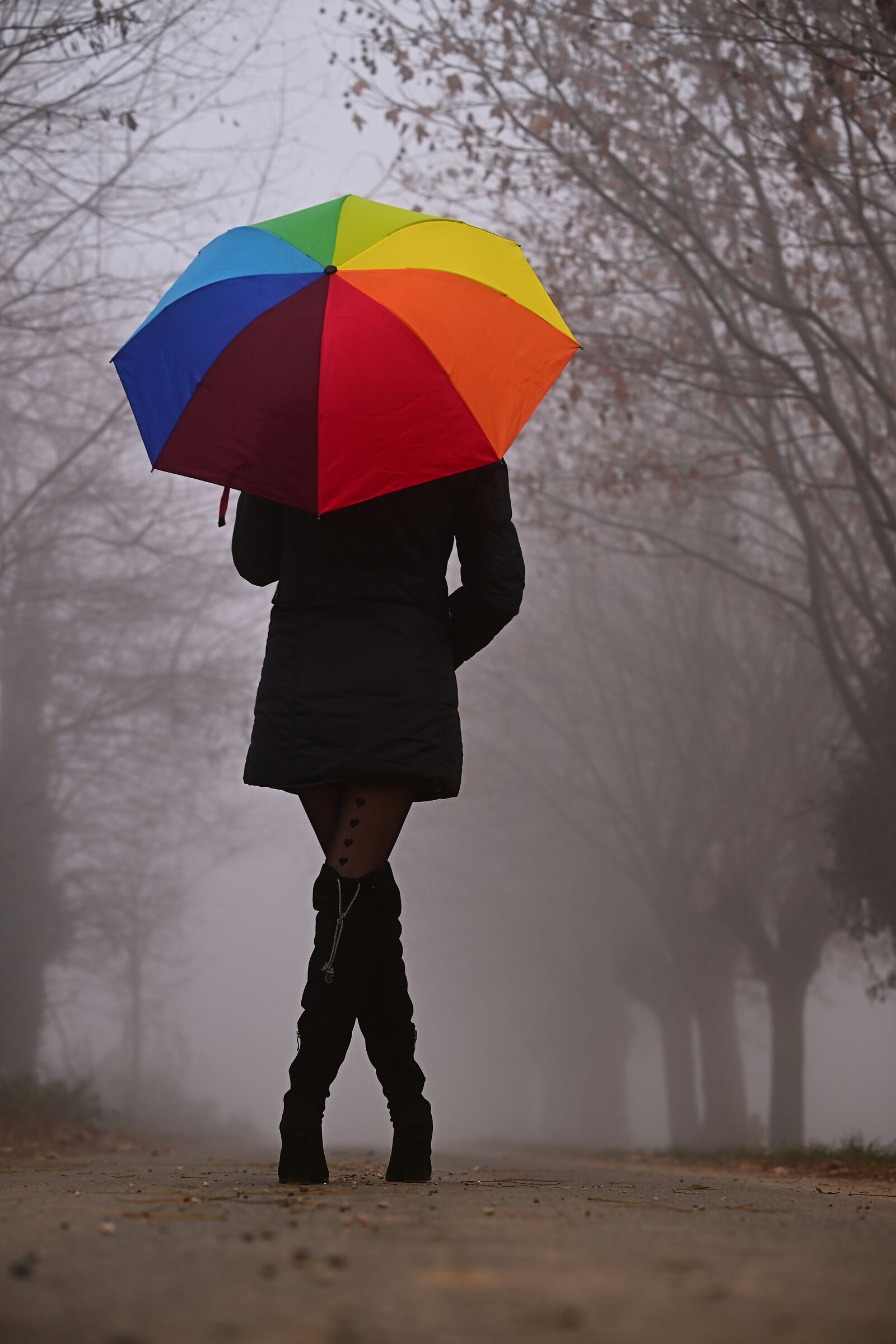 Un arcobaleno nella nebbia