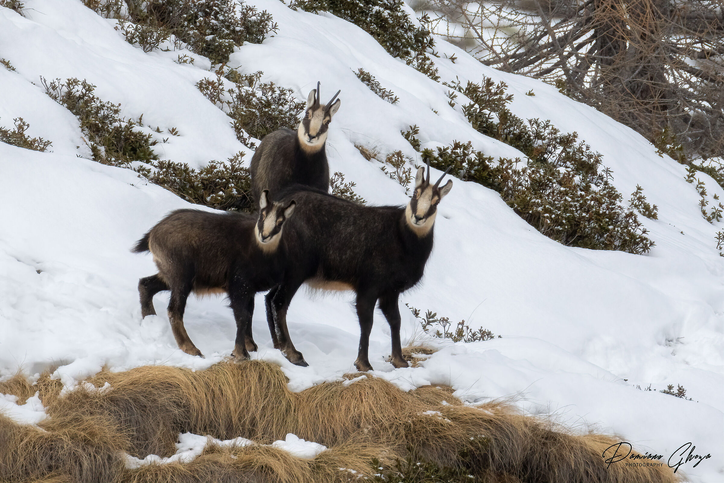 Happy family picture
