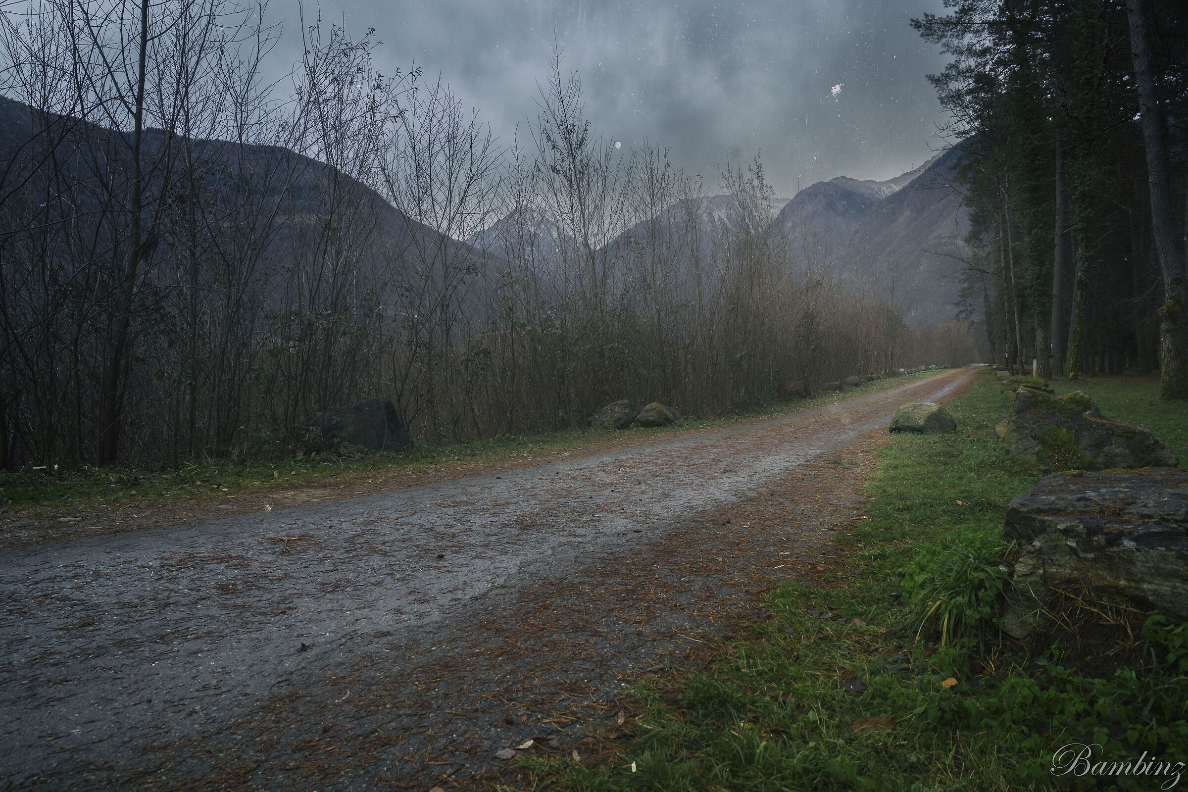 Country road