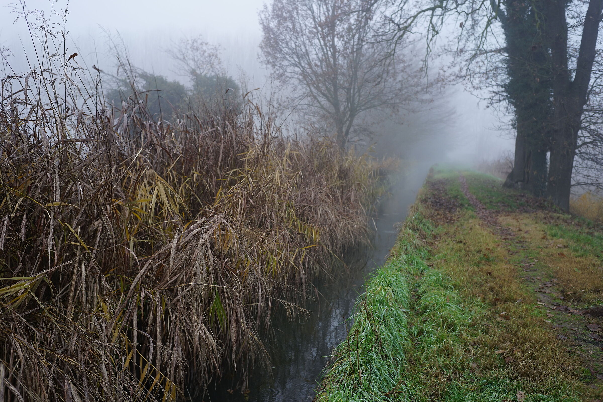 i colori dell'inverno