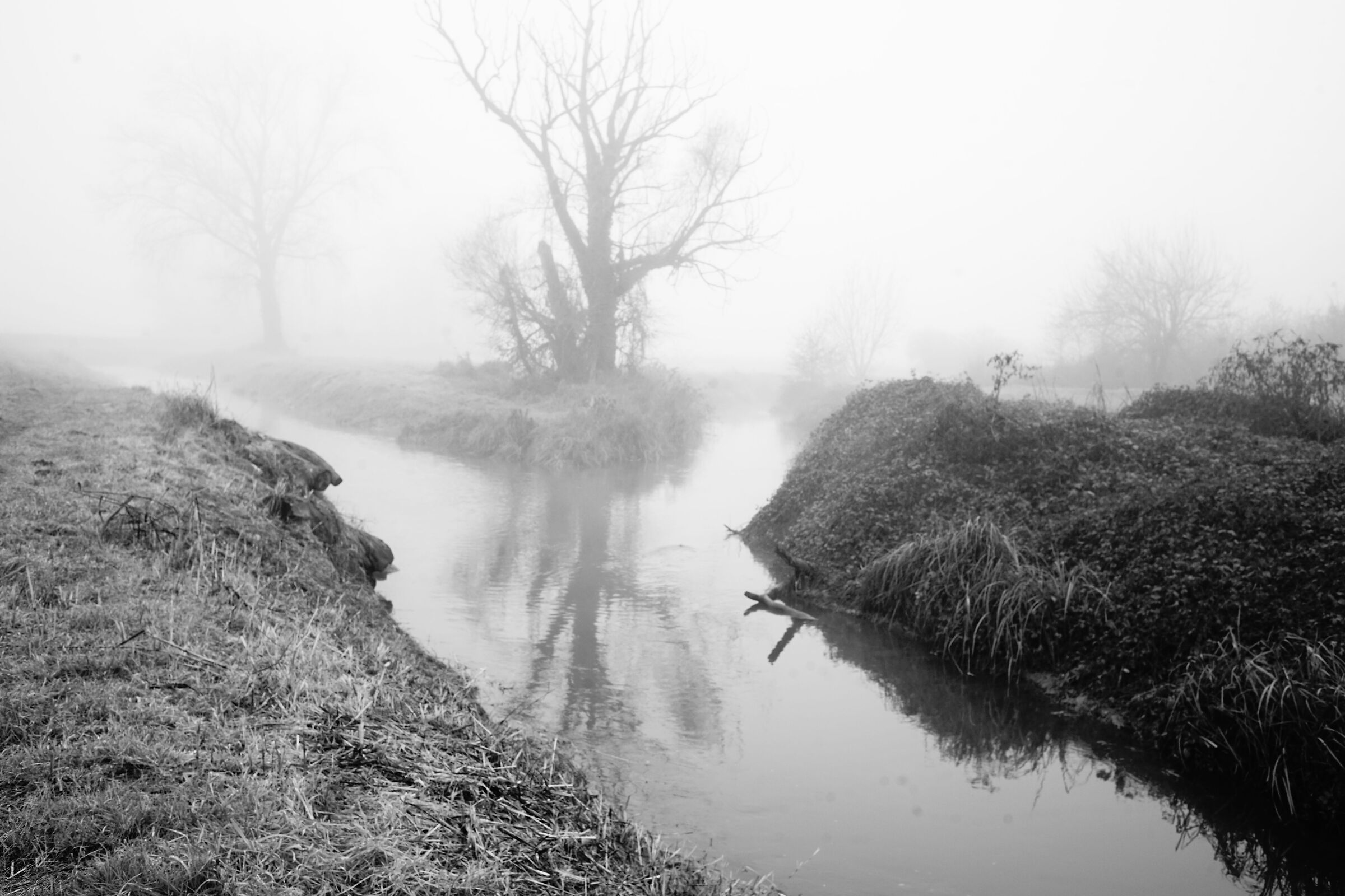 La nebbia e l'acqua, il bivio