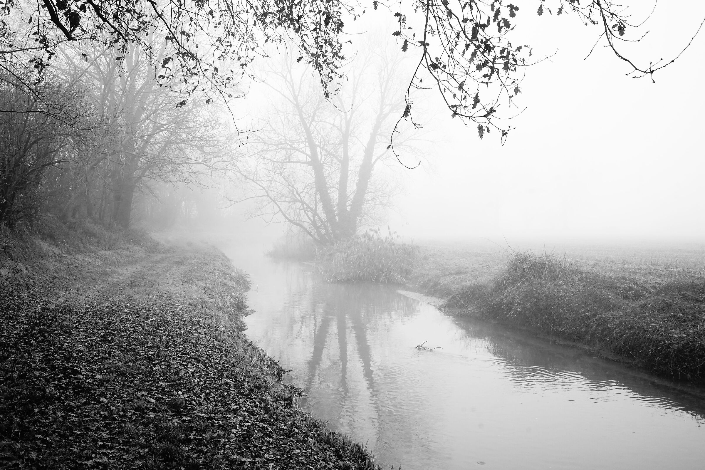 La nebbia e l'acqua, riflessi