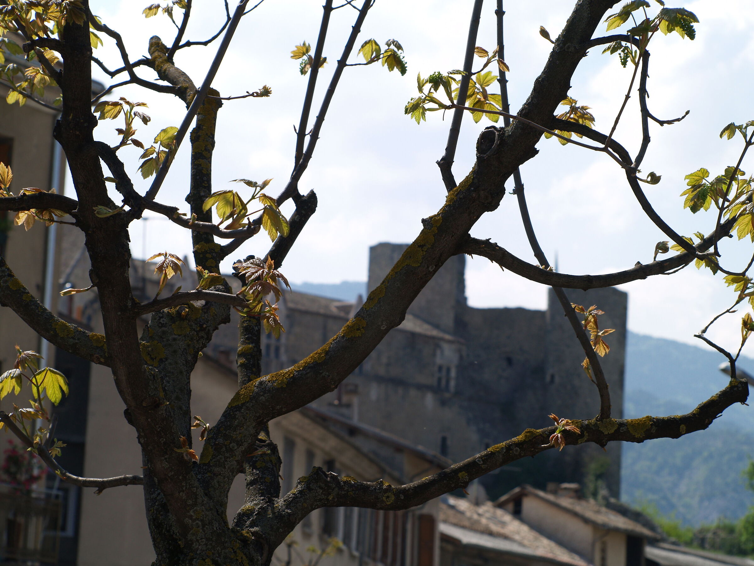 Primavera in Provenza 1