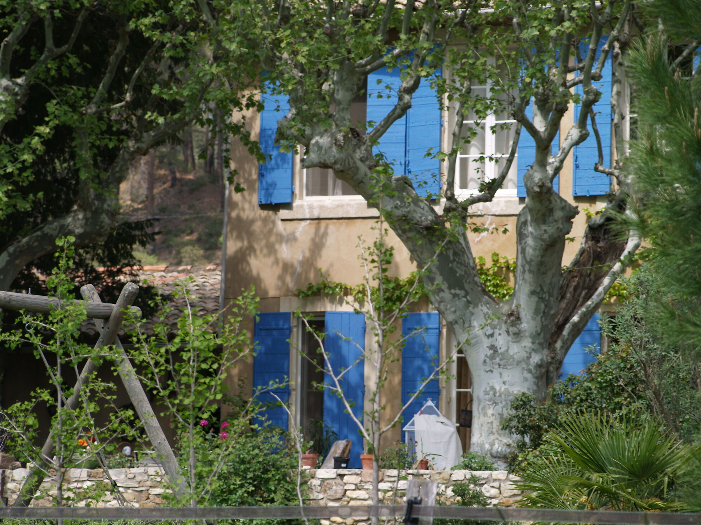 Primavera in Provenza 2