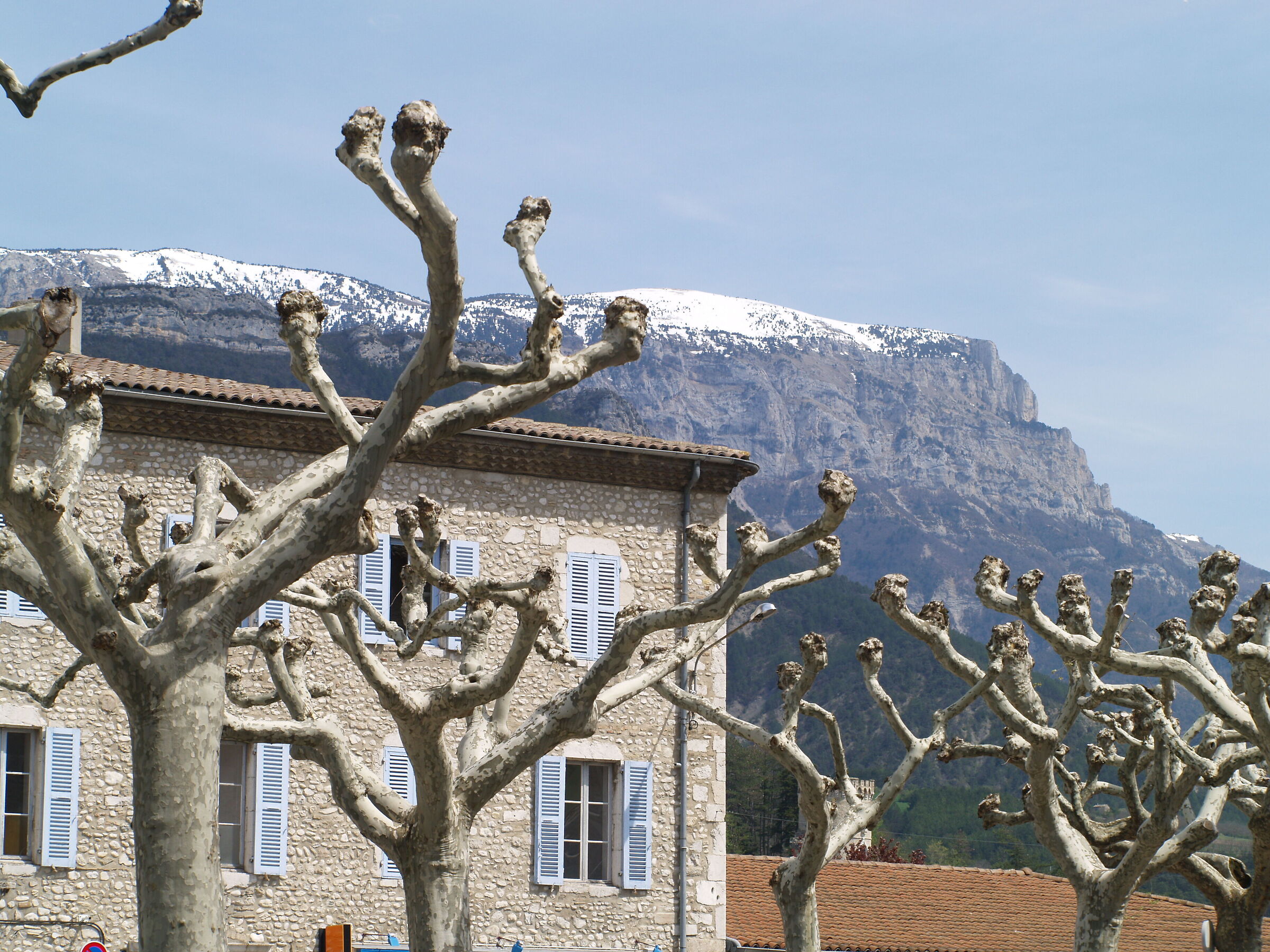 Primavera in Provenza 3