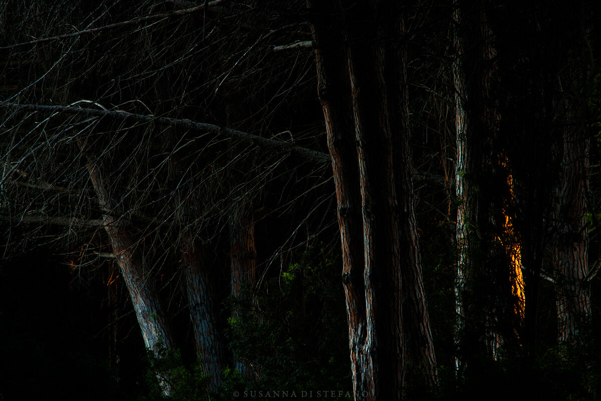 Untitled Photo
