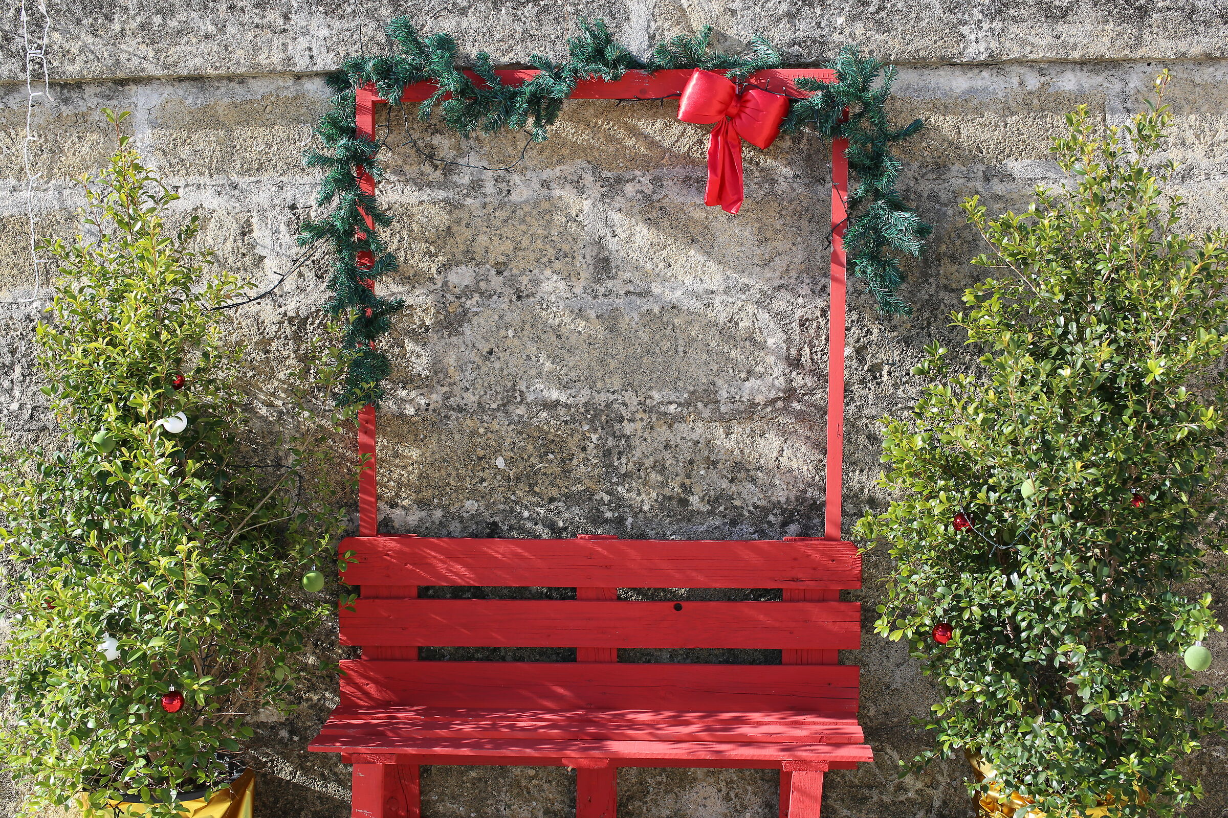 Milvus Zeiss 50, 1.4- Canon 6 D