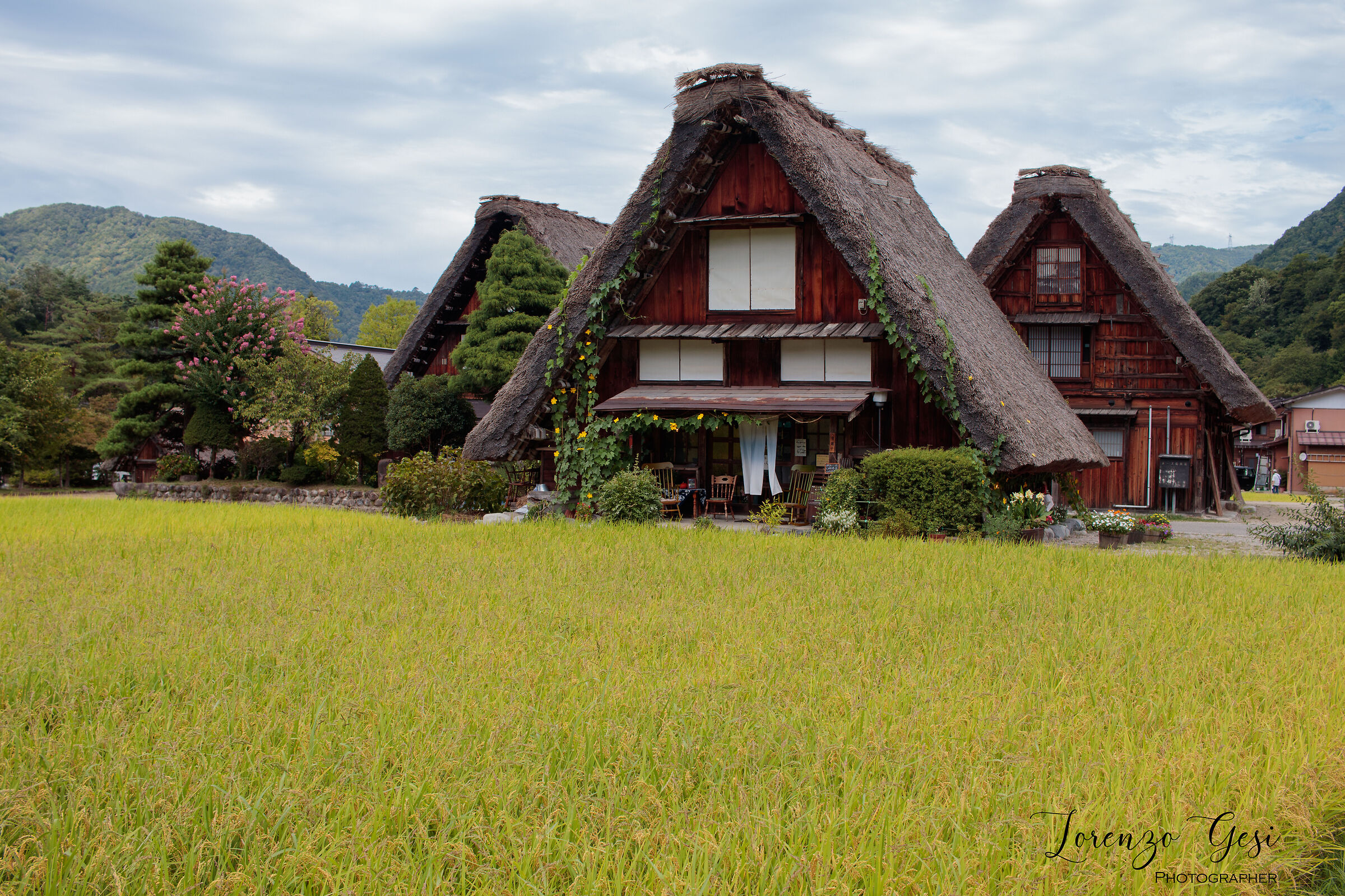 Shirakawa-go - Case